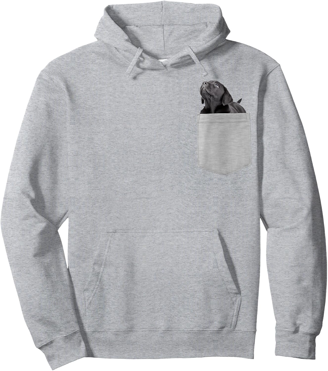 Black Lab puppy in your pocket Hoodie - Hoodie | Ash