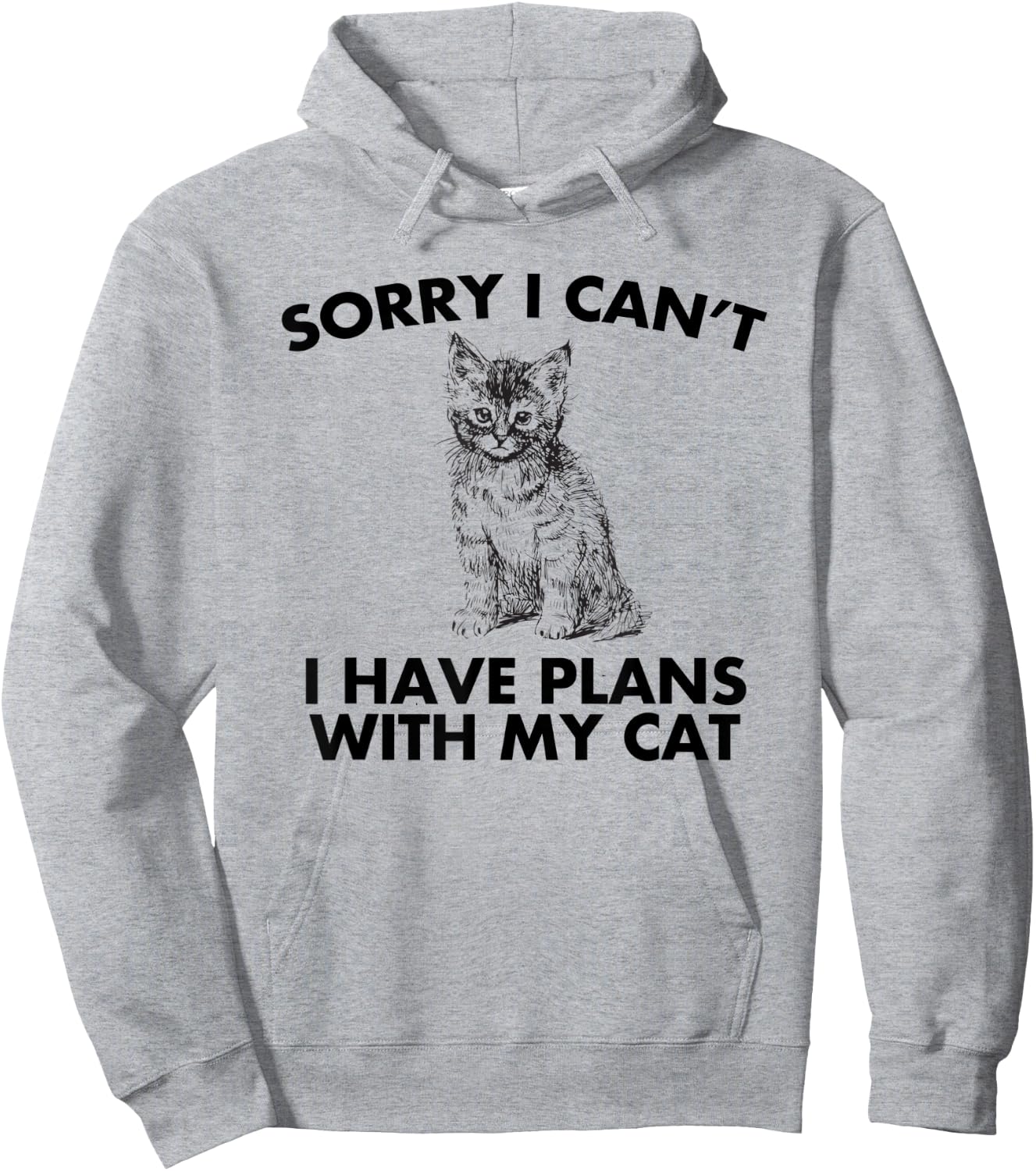 Sorry I can't I Have Plans With My Cat Ladies Hoodie - Hoodie | Ash