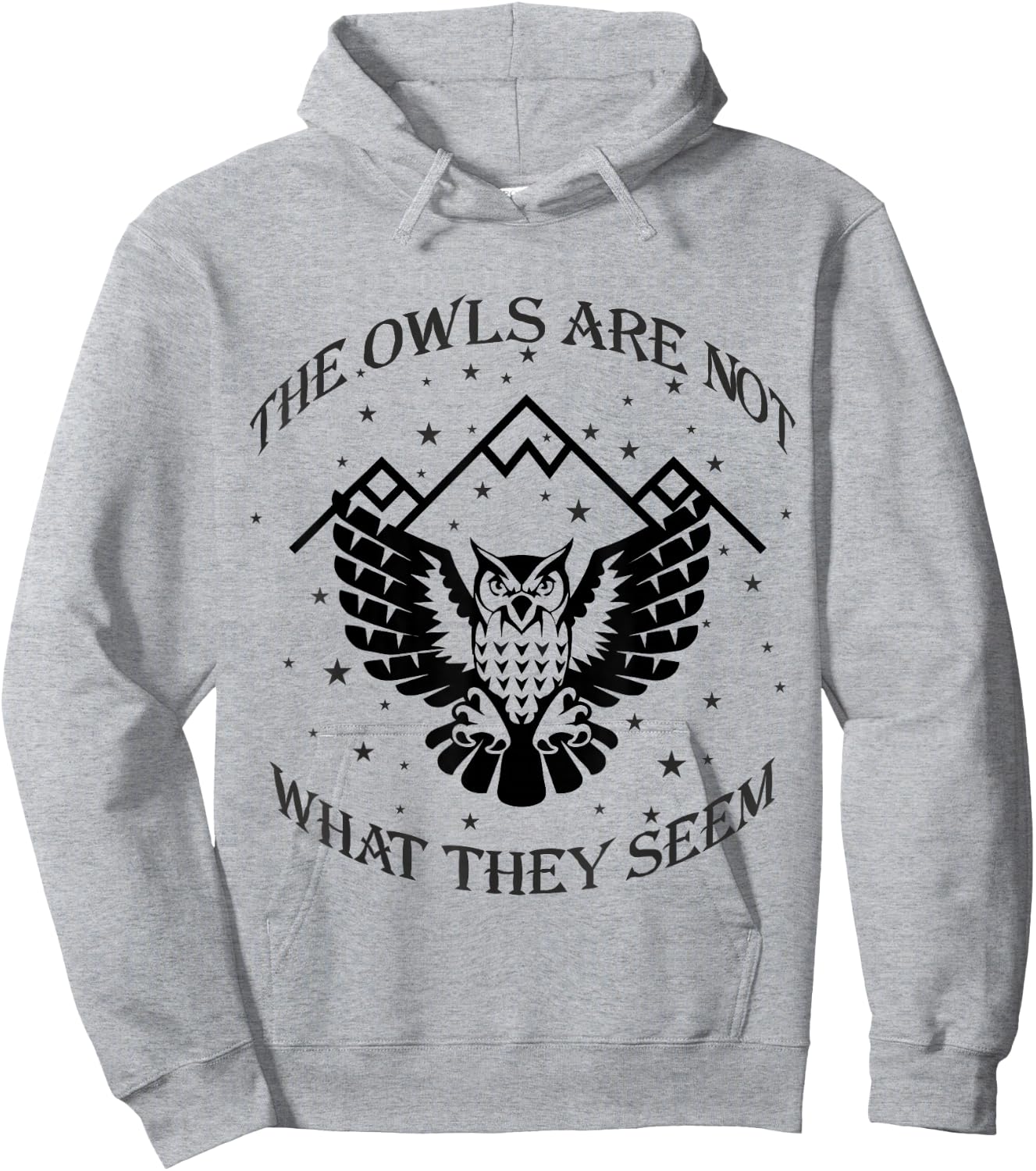 The Owls Are Not What They Seem Gift Hoodie - Hoodie | Ash