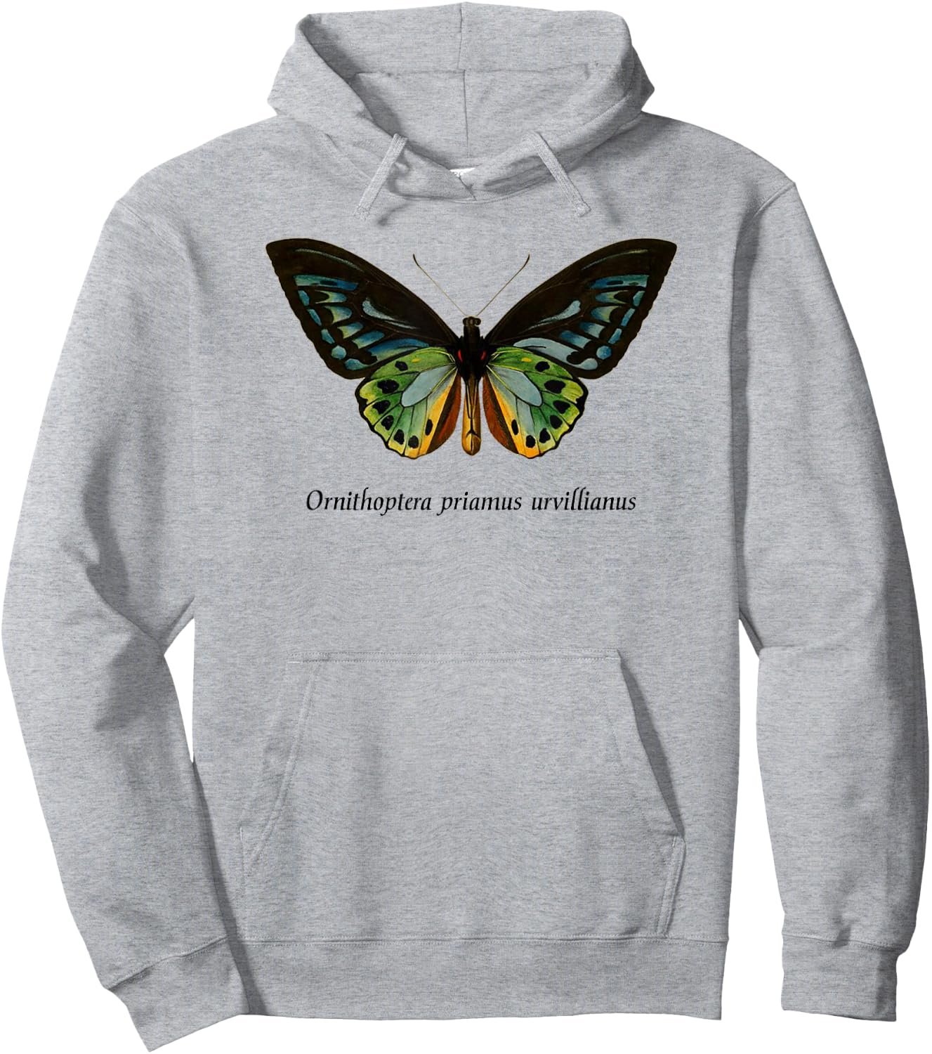 Bird Wing Butterfly Insect Entomology Moth Hoodie - Hoodie | Ash