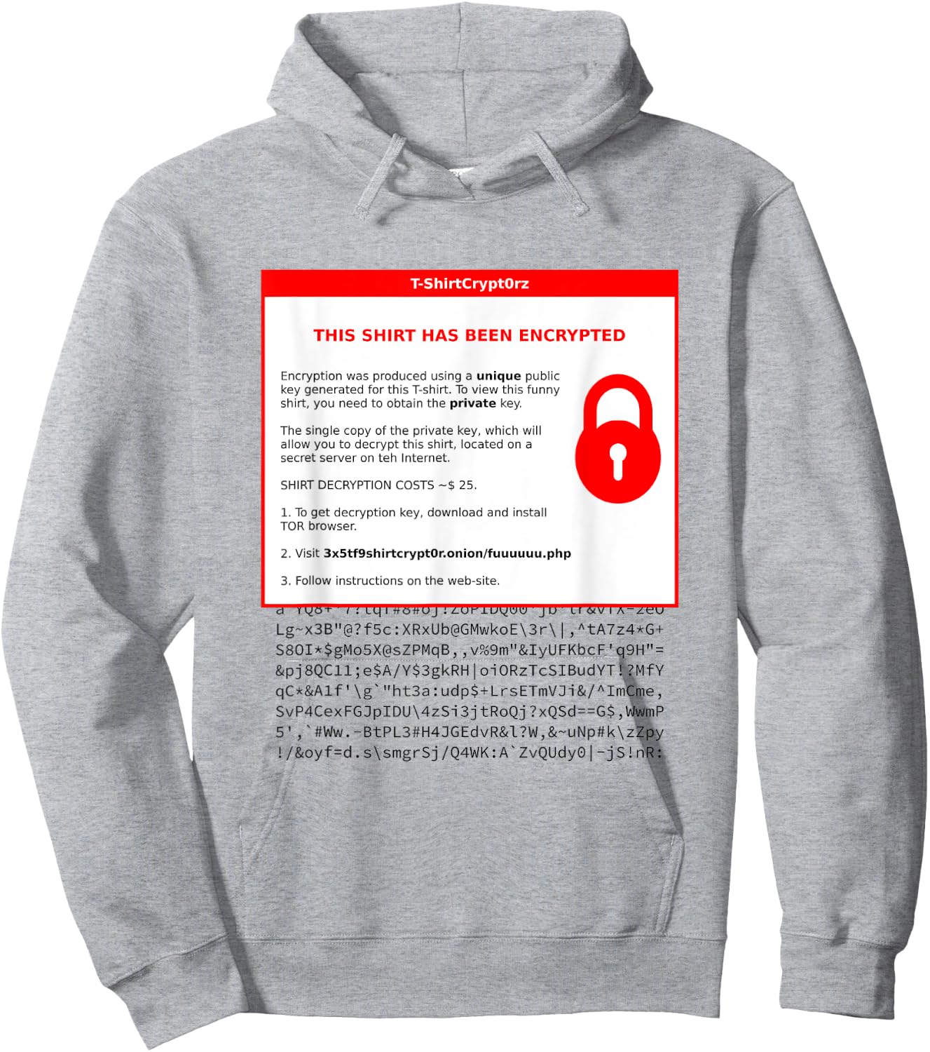 Encrypted Ransomware Hoodie - Hoodie | Ash
