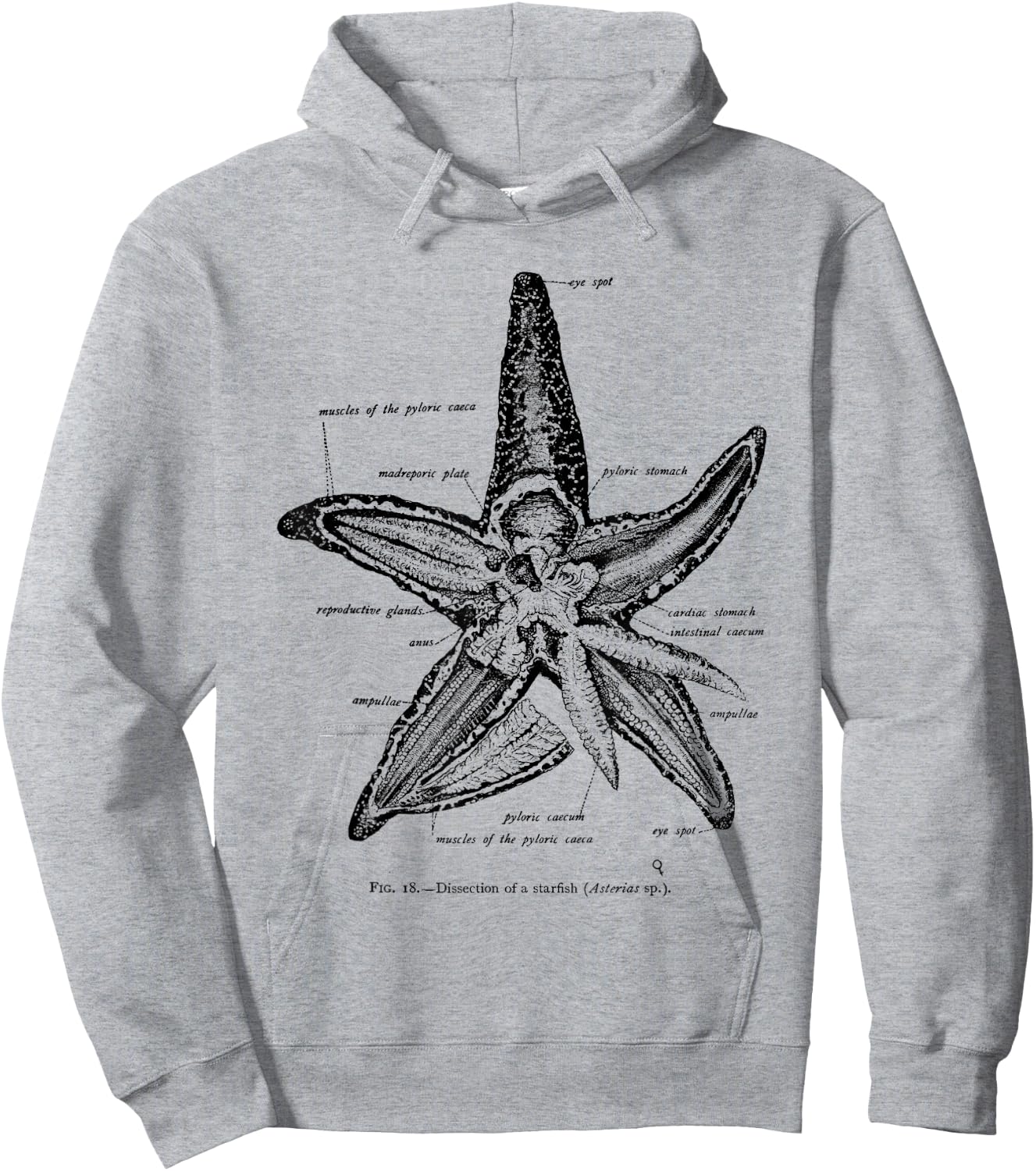Vintage Marine Biology Starfish Sea Star Hoodie - Hoodie | Ash