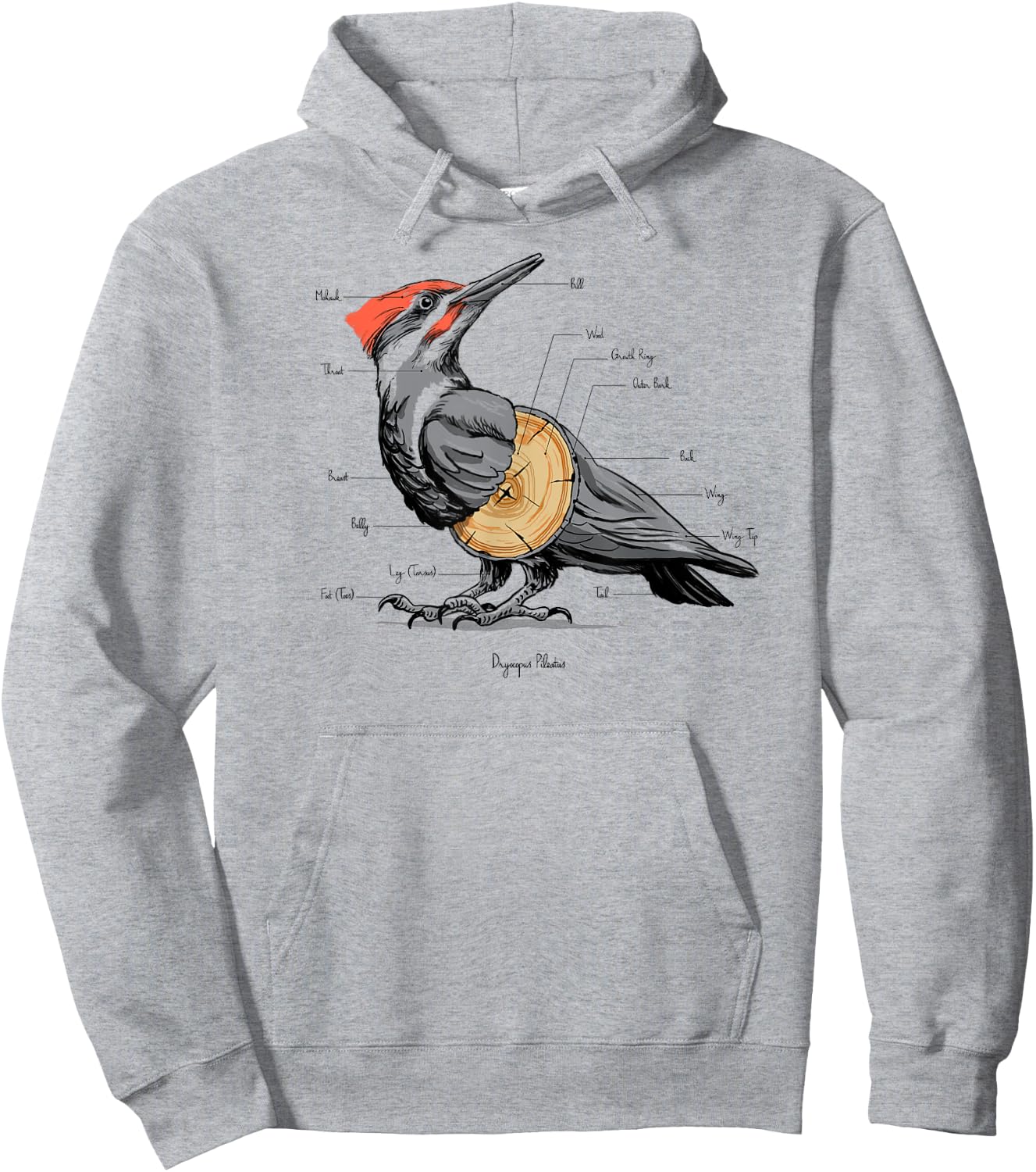 Woodpecker anatomy Hoodie - Hoodie | Ash