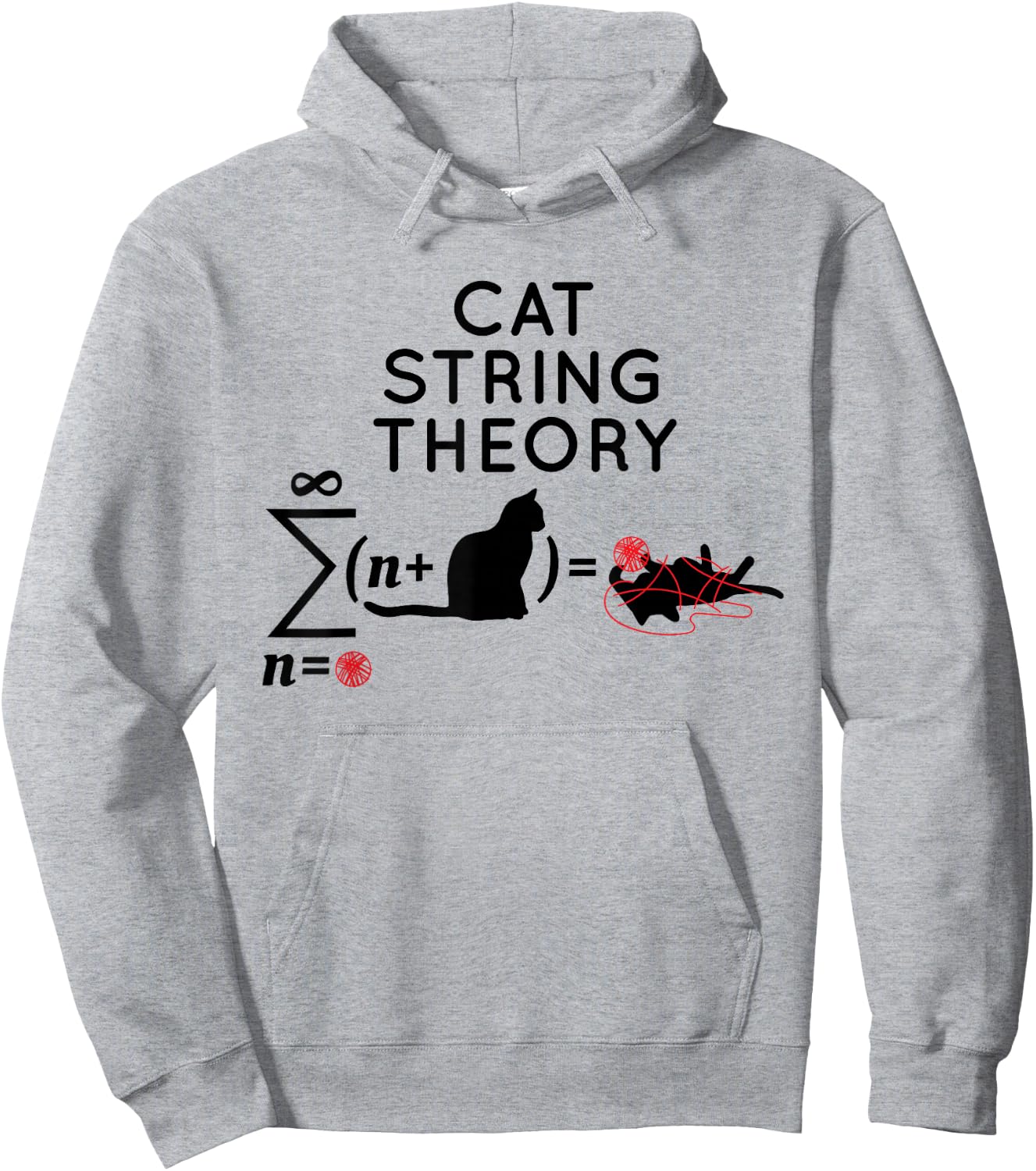 Cat String Theory Sarcastic Science Humor Funny Hoodie - Hoodie | Ash