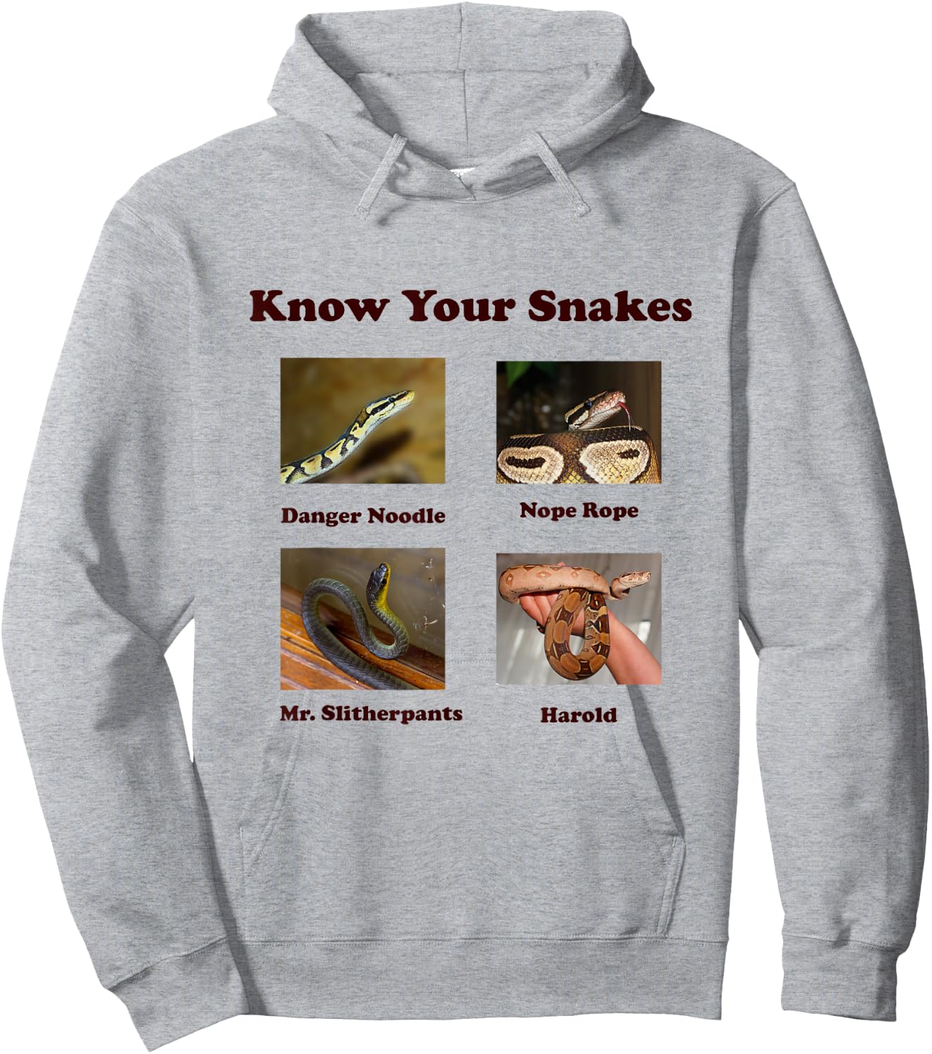 Know Your Snakes: Danger Noodle, Nope Rope Hoodie - Hoodie | Ash