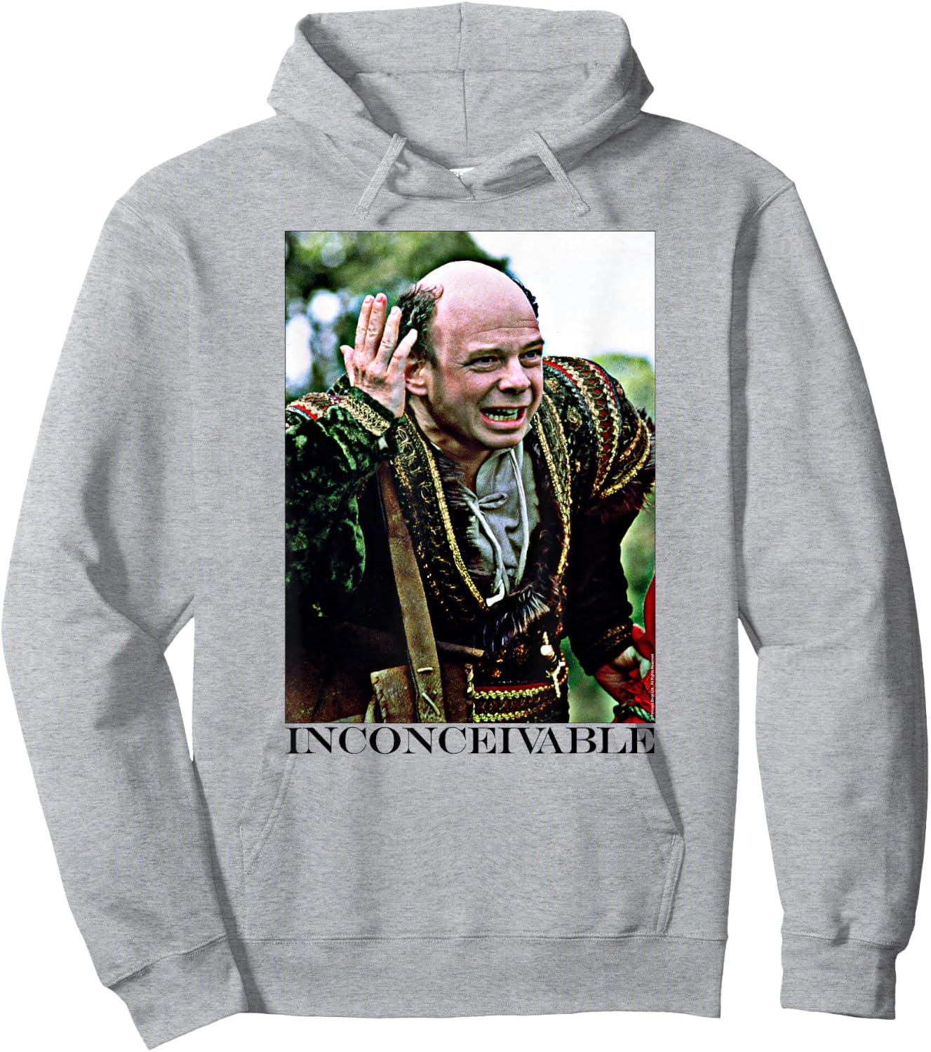 The Princess Bride Inconceivable Hoodie - Hoodie | Ash