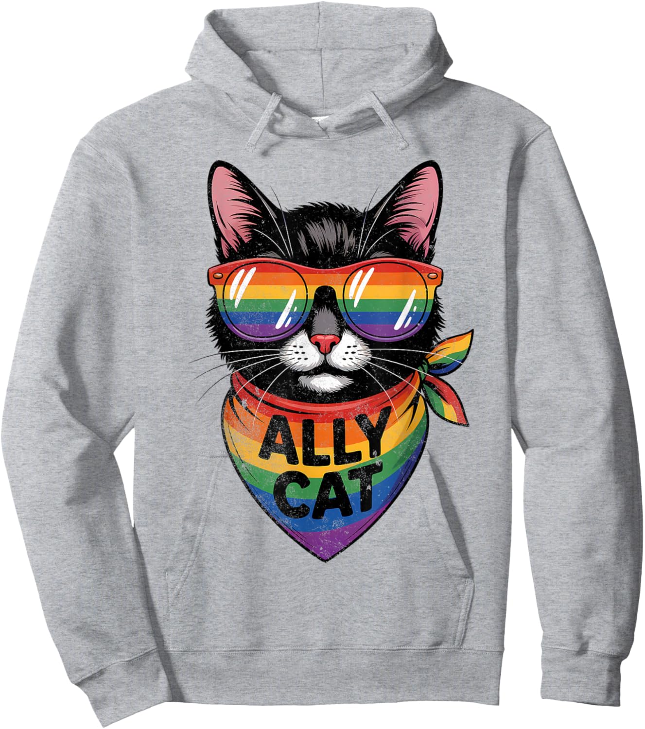 Ally Cat Pride Men Women Hoodie - Hoodie | Ash
