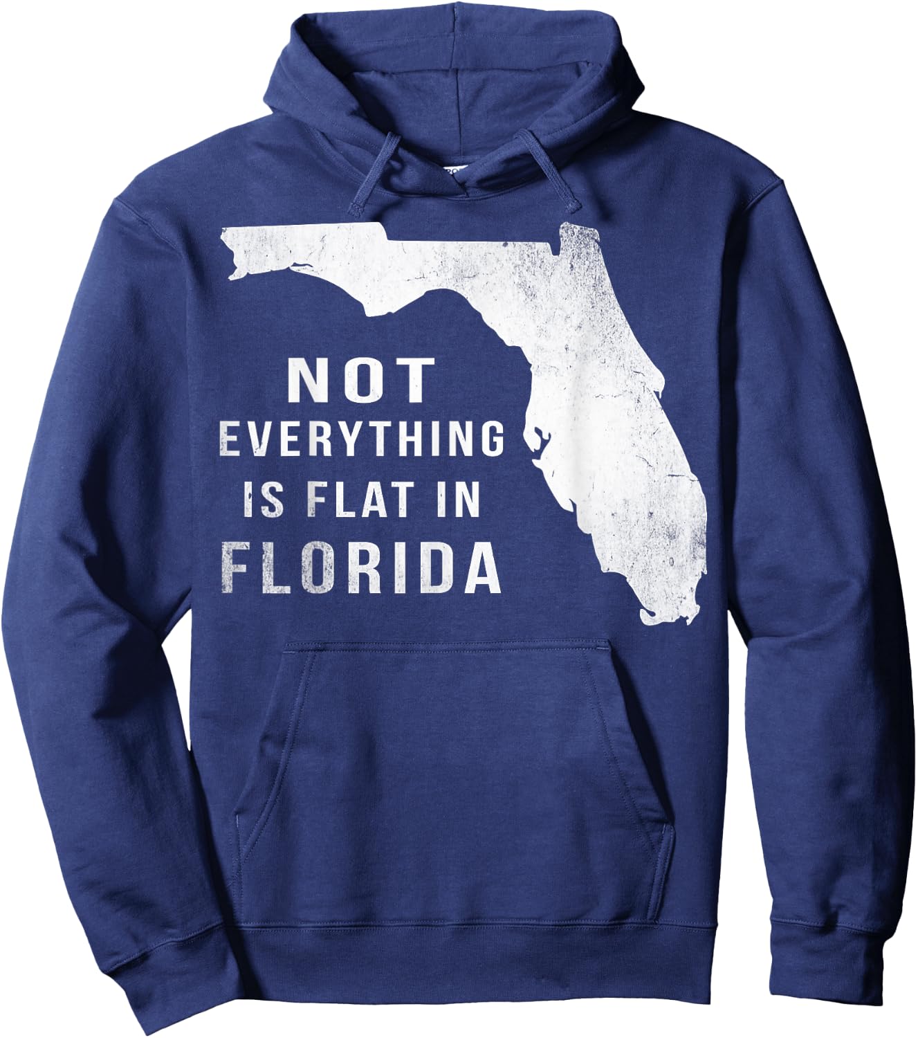 Not Everything Is Flat Funny Florida Hoodie - Hoodie | Navy