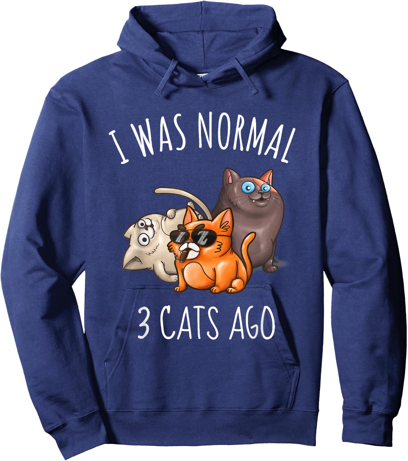 I Was Normal 3 Cats Ago Funny Cat Mom Dad Hoodie - Hoodie | Navy