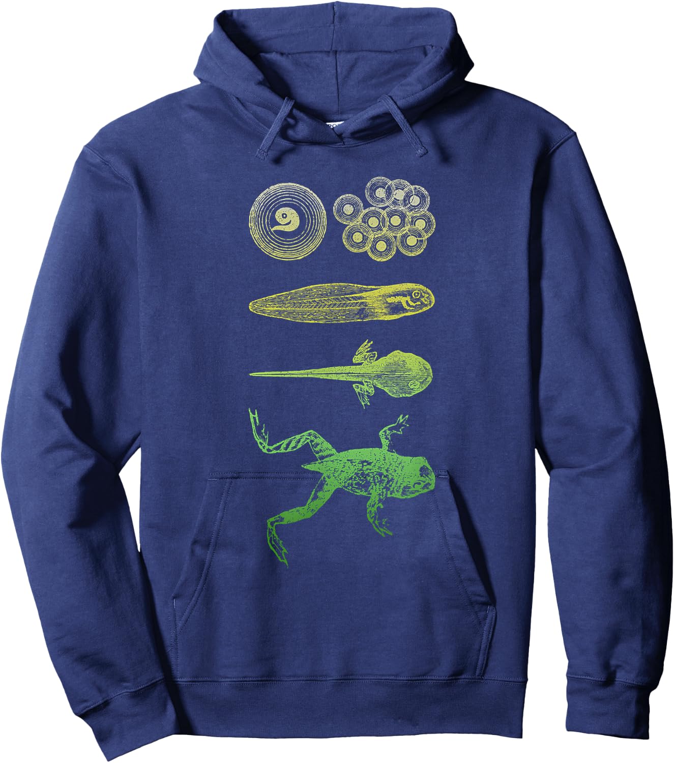 Frog Tadpole Metamorphosis Life Cycle Biology Hoodie - Hoodie | Navy