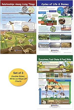 NewPath Learning Ecology Bulletin Board Charts, Set/3 - Laminated, Double-Sided, Full-Color, 12" x 18" (94-7007)