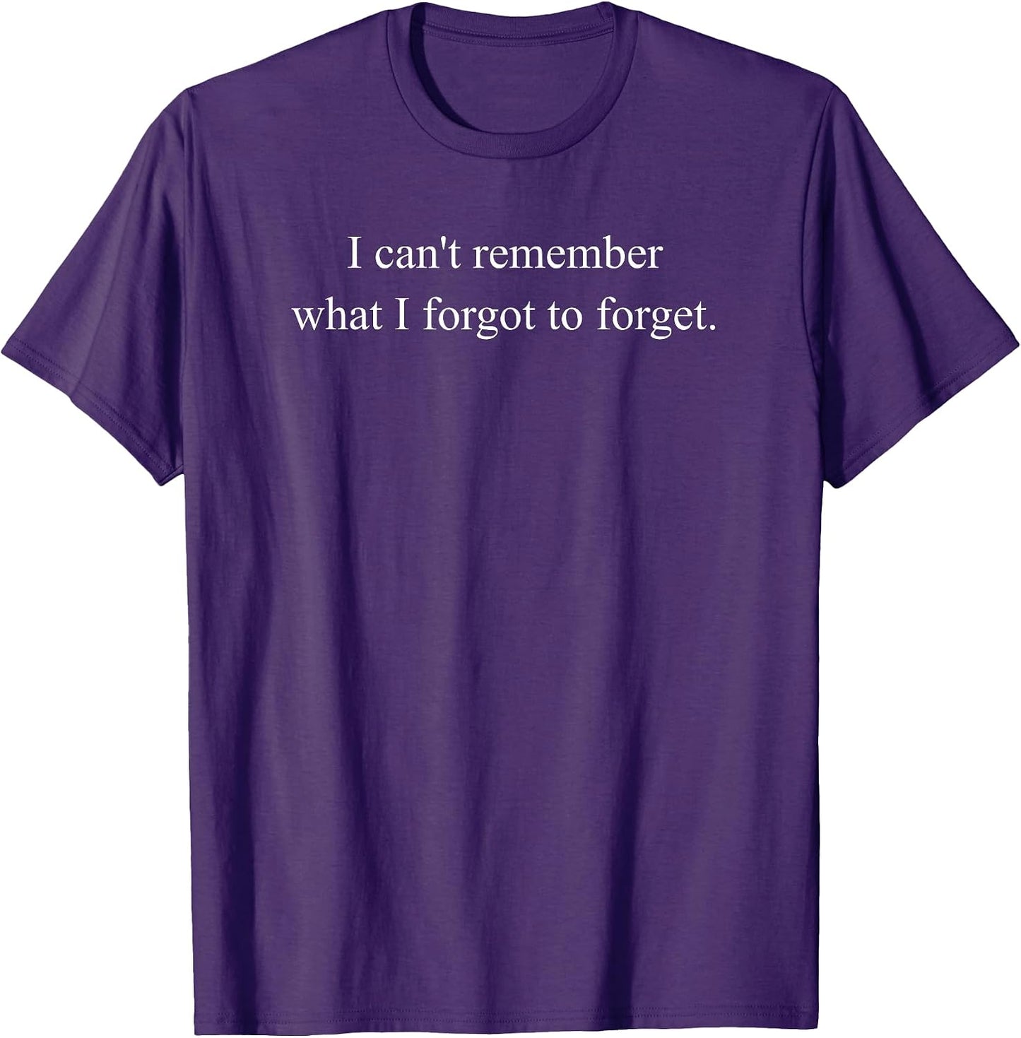 I Can't Remember What I Forgot to Forget Funny Meme