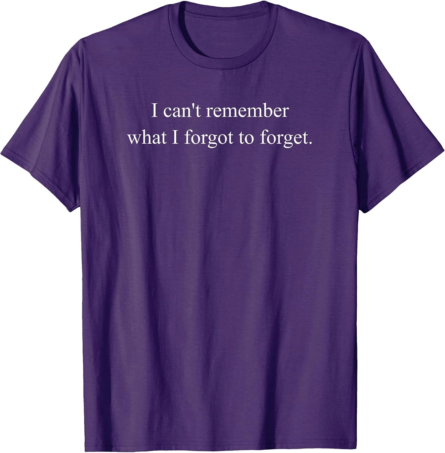 I Can't Remember What I Forgot to Forget Funny Meme
