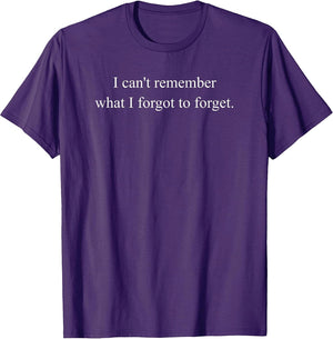 I Can't Remember What I Forgot to Forget Funny Meme