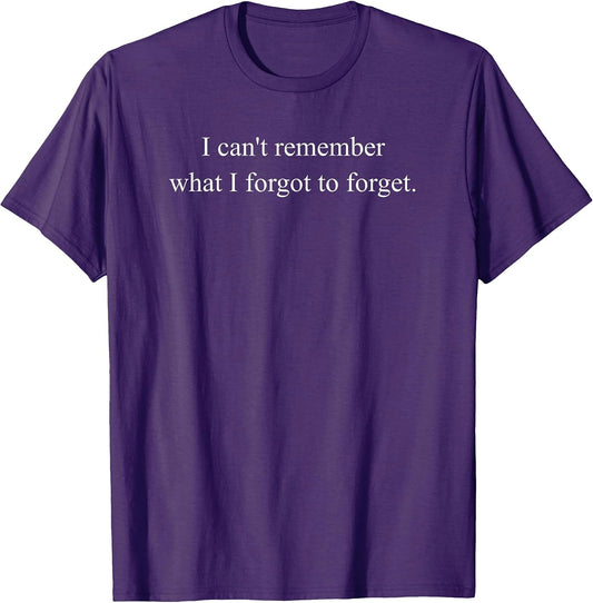 I Can't Remember What I Forgot to Forget Funny Meme