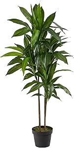 Nearly Natural 48in Artificial Dracaena with Real Touch Leaves and Multi Tonal Trunks, Large Indoor Silk Plant with Pot, Maintenance Free For Living Room And Home Office Decor