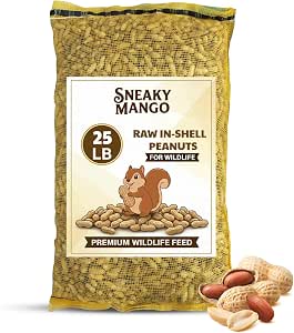 Sneaky Mango - 25 Pound Raw Peanuts in Shell – All-Natural Food for Squirrels, Deer, Birds, and Other Wildlife Animals – Bulk Wholesale Bag – Grown in The USA for Healthy Nutrition