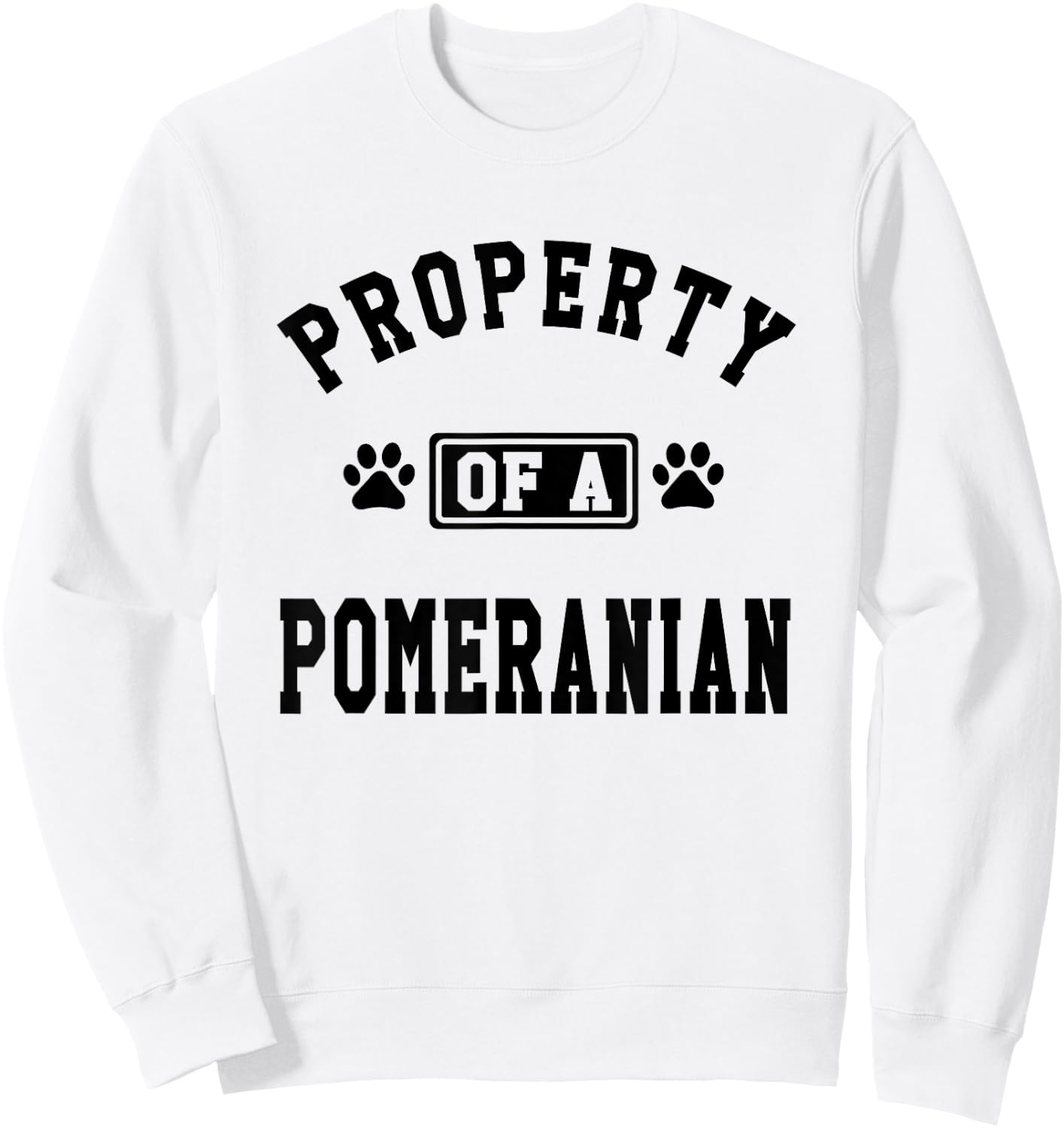 Property Of A Pomeranian - Pomeranian Lover Shirt Gift Sweatshirt - Sweatshirt | White