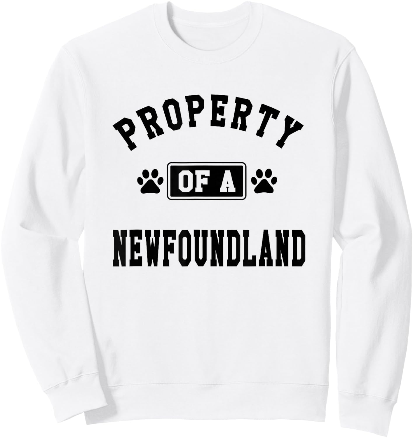 Property Of Newfoundland - Funny Newfoundland Lover Shirt Sweatshirt - Sweatshirt | White