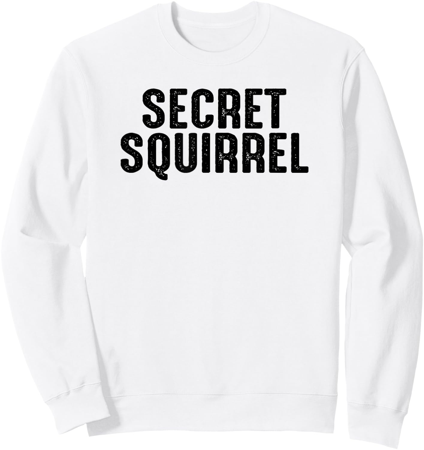 Secret Squirrel , Funny For A Military Soldier Sweatshirt - Sweatshirt | White