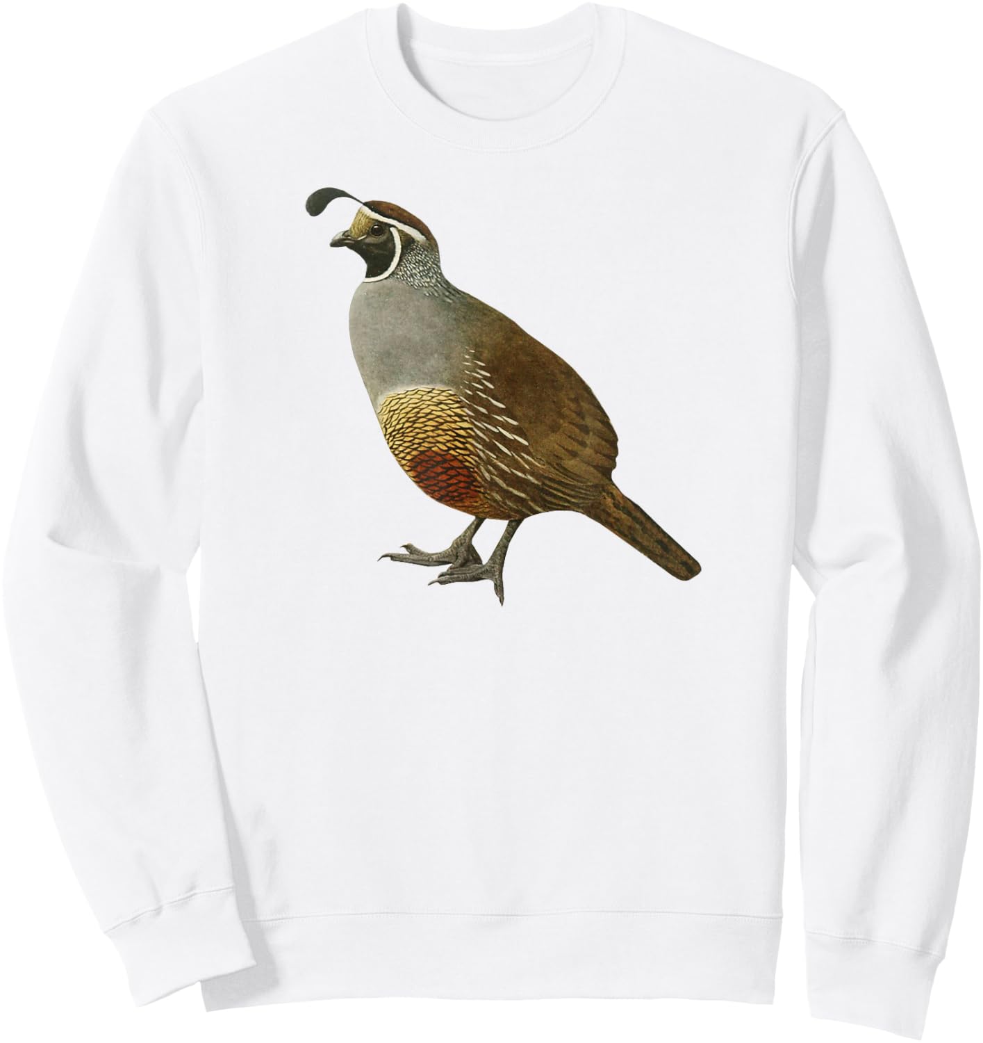 Quail I Love Quails Cute Birder Gift Sweatshirt - Sweatshirt | White