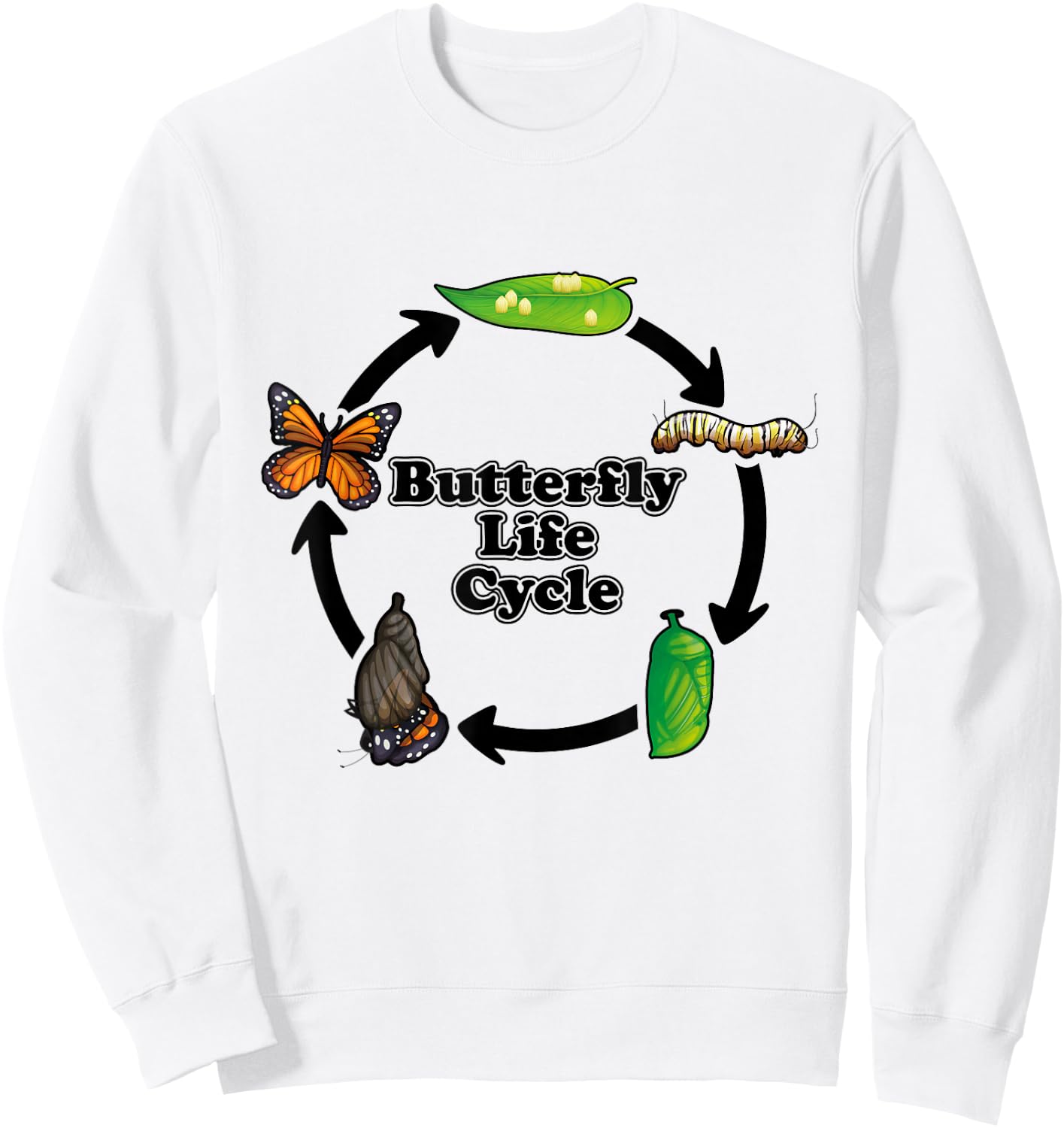 Monarch Butterfly Life Cycle Educational Science Sweatshirt - Sweatshirt | White