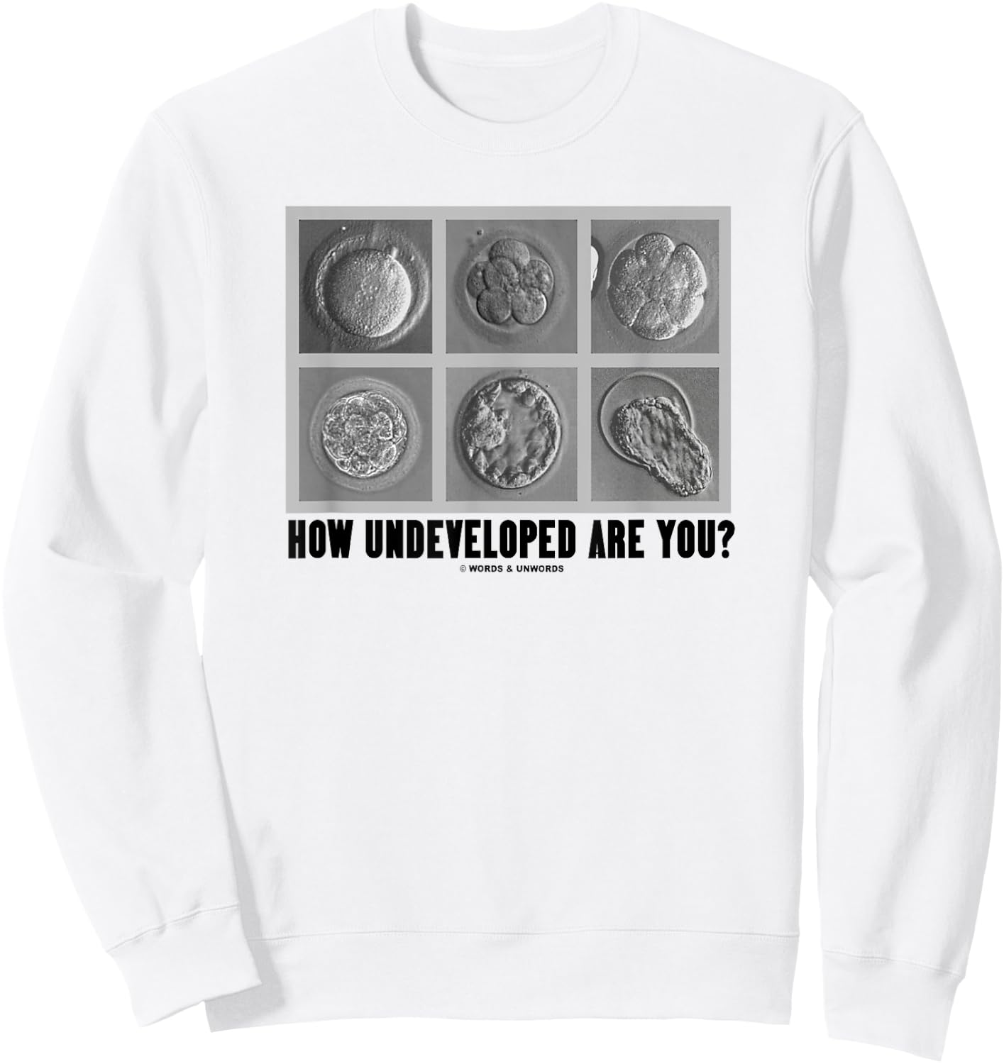 How Undeveloped Are You? Embryos Zygotes Embryology Humor Sweatshirt - Sweatshirt | White