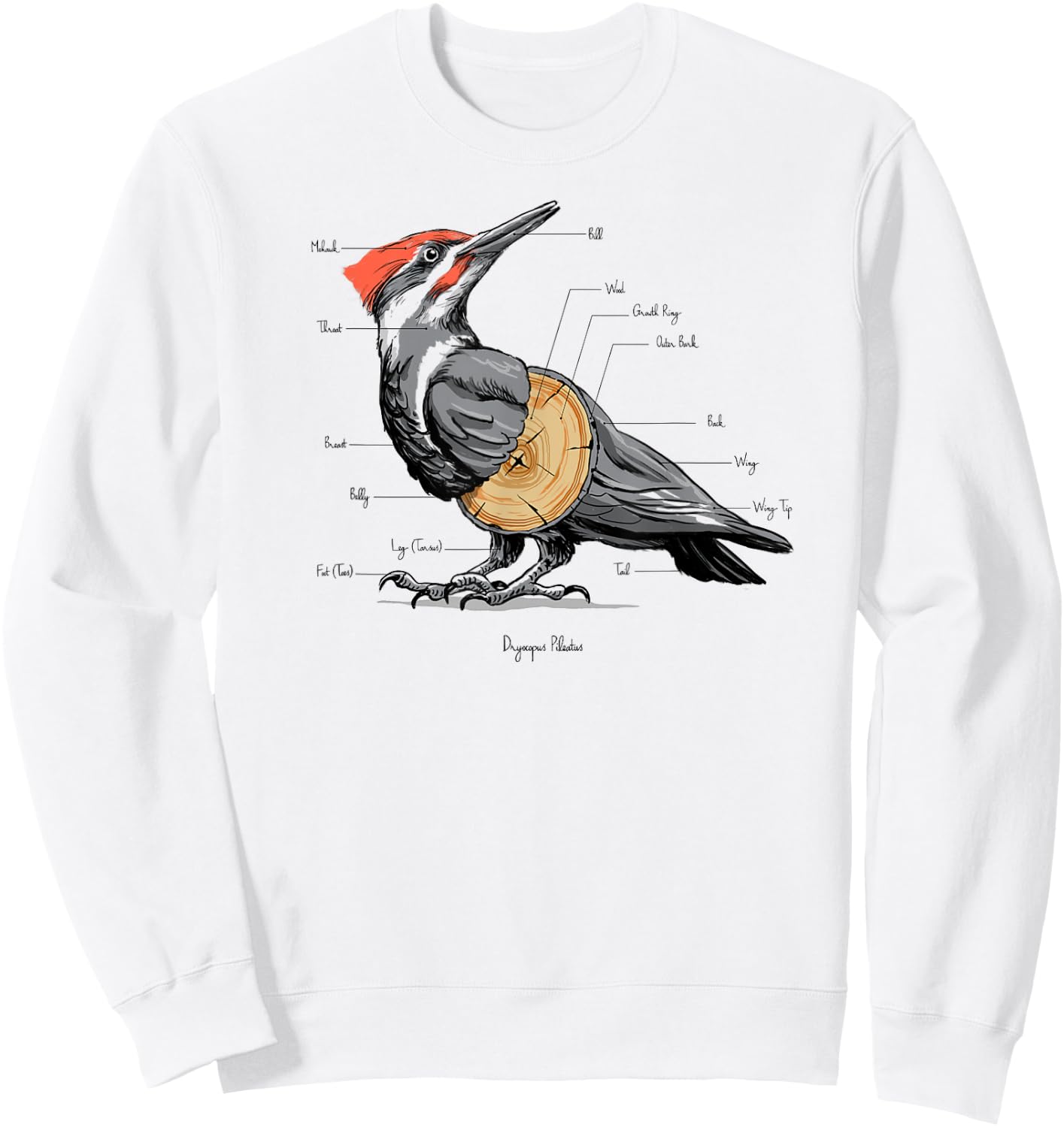 Woodpecker anatomy Sweatshirt - Sweatshirt | White