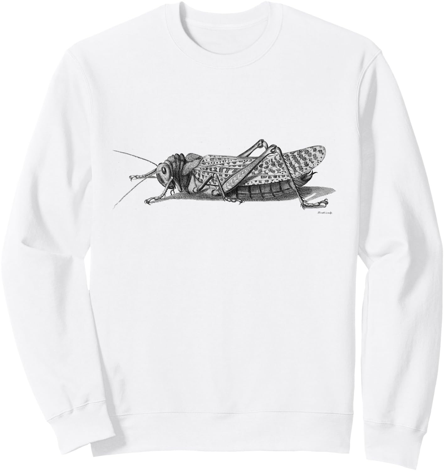 Cricket . Vintage Cricket Insect Sweatshirt - Sweatshirt | White