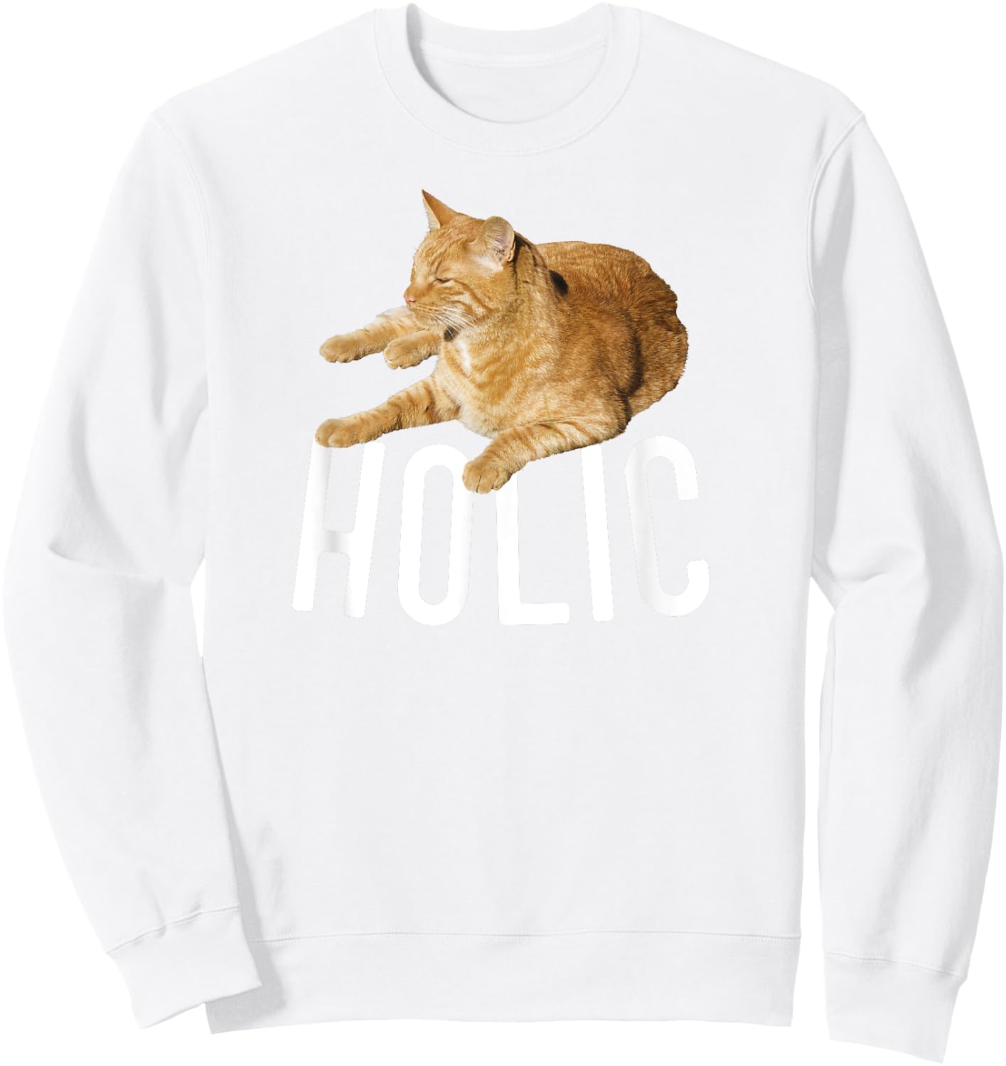 CATholic Tabby Orange Cat Lover Men Women Kids Sweatshirt - Sweatshirt | White