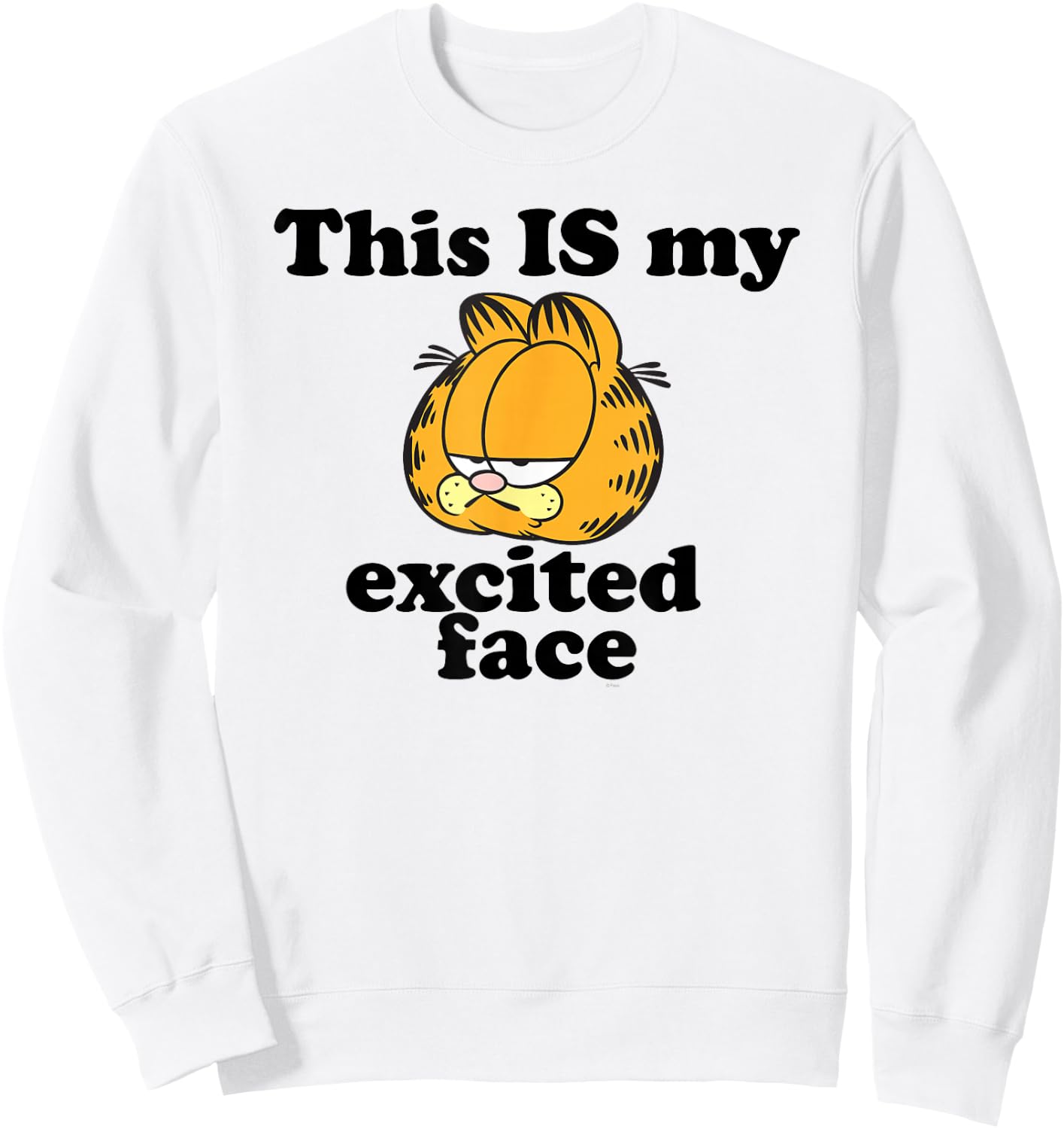 Garfield This is My Excited Face Sarcastic Cartoon Cat Sweatshirt - Sweatshirt | White