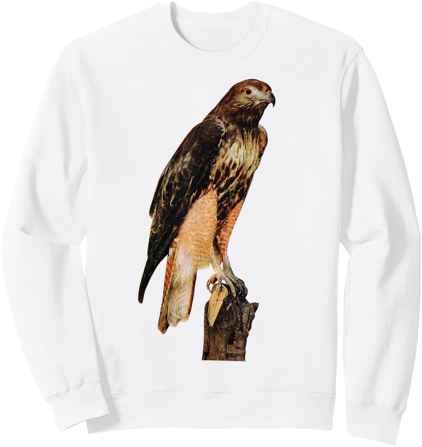 Red Tailed Hawk Best Red-Tailed Hawk Birder Gift Sweatshirt - Sweatshirt | White