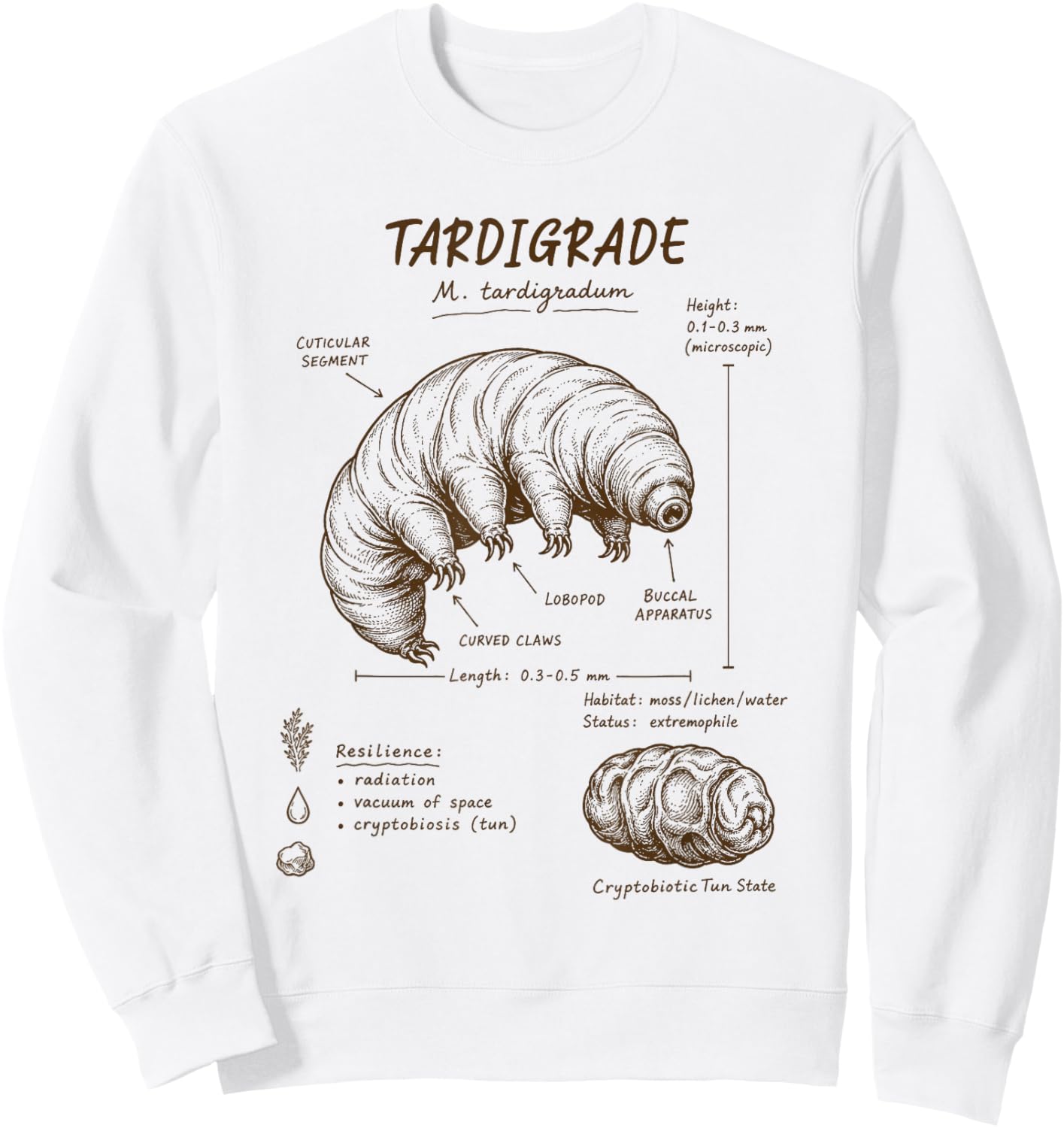 Tardigrade Anatomy Tardigrade Lover Water Bear Science Sweatshirt - Sweatshirt | White