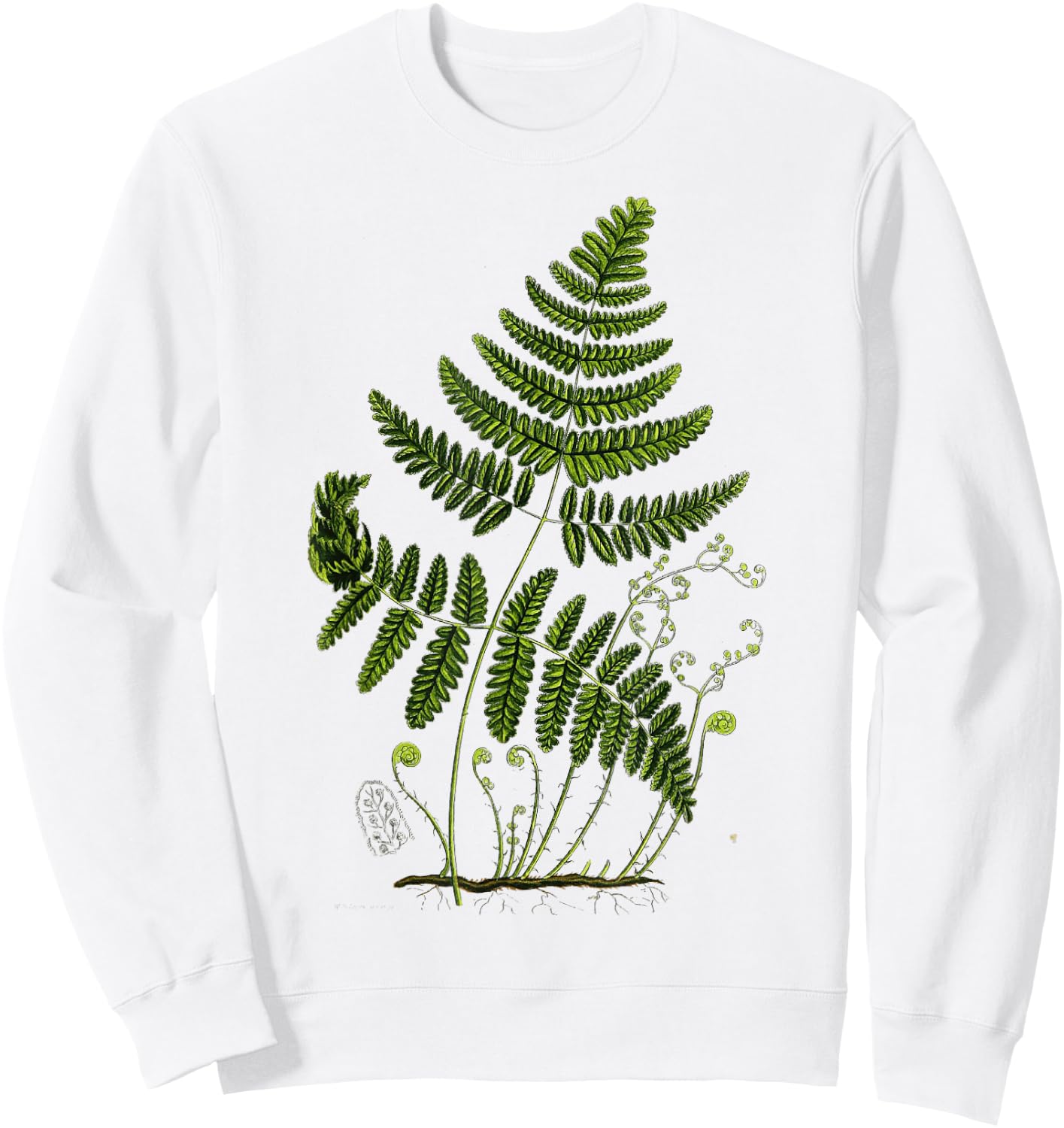 Fern Plant Botany Sweatshirt - Sweatshirt | White