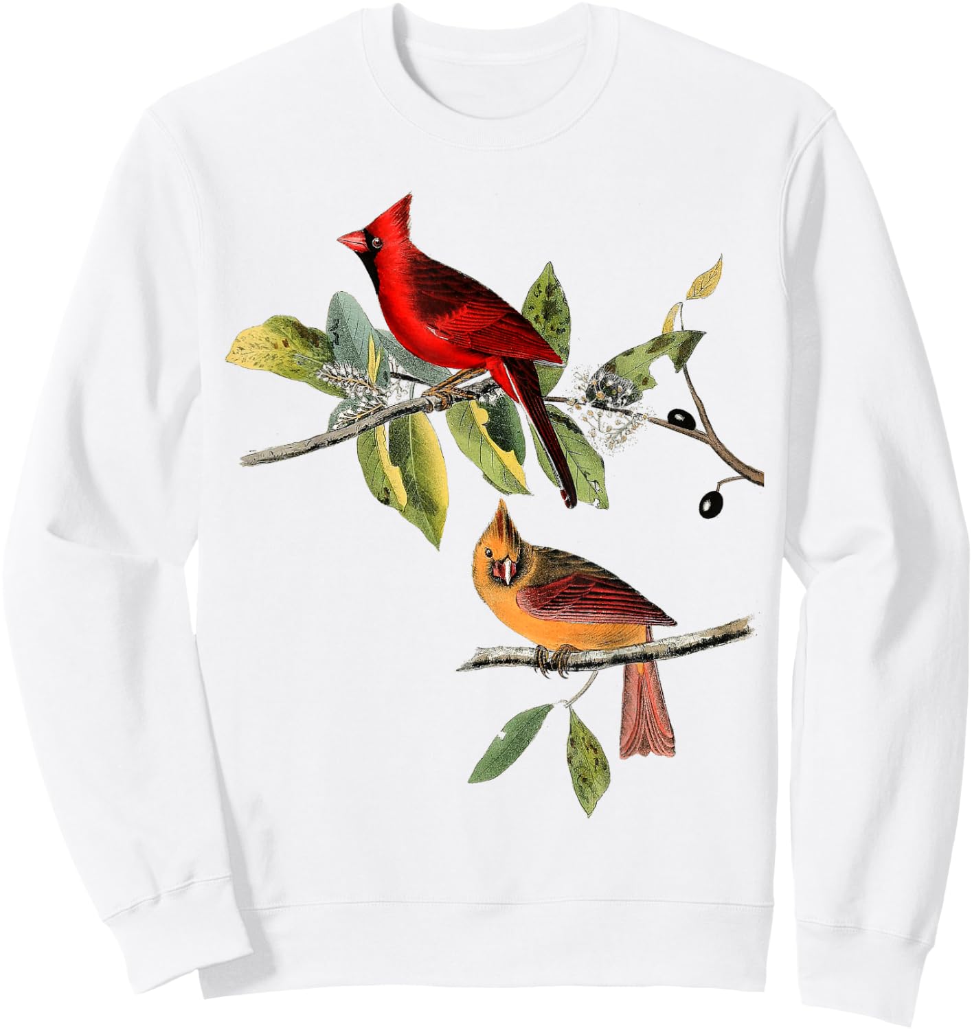 Red Cardinal Bird Male Female Sweatshirt - Sweatshirt | White