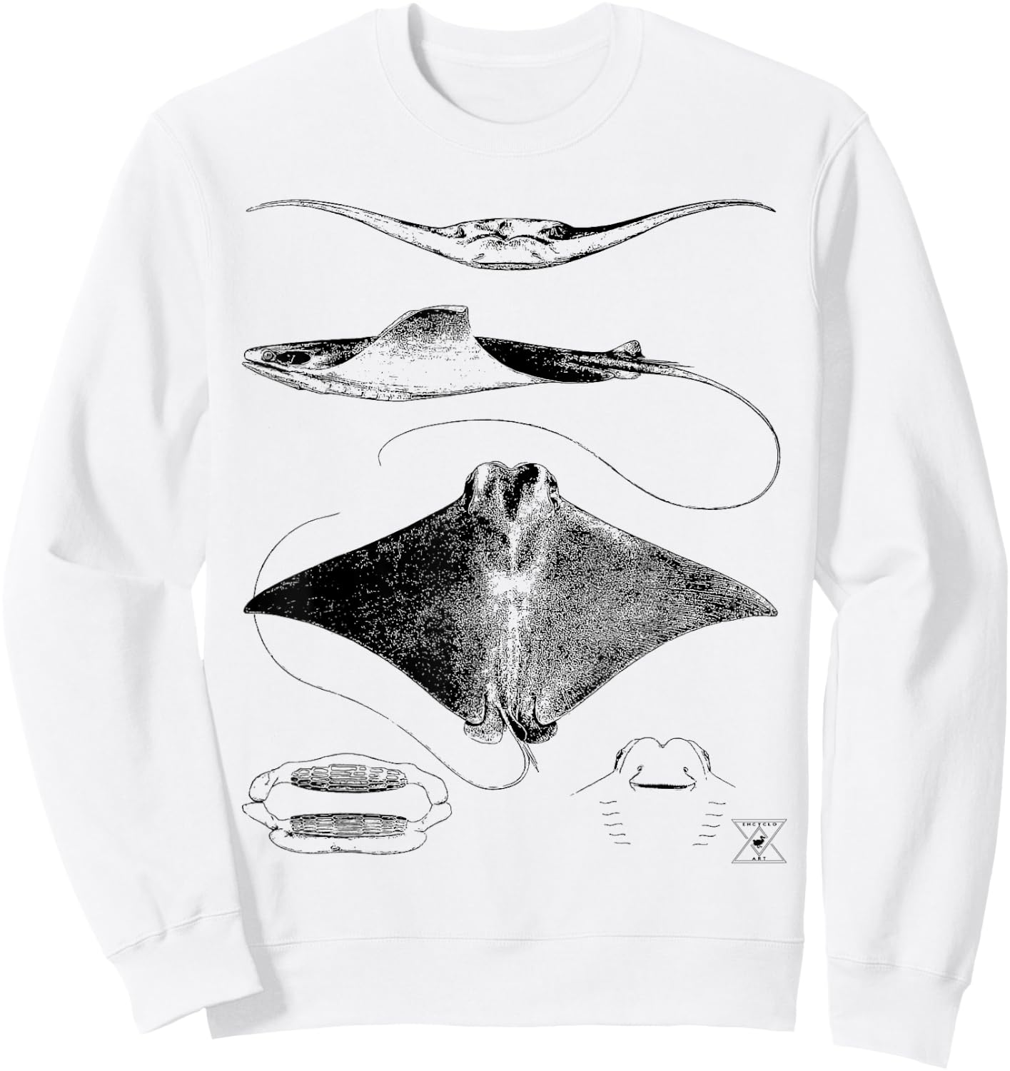 Stingray Anatomy | Sharks Rays Oceanography Sea Life Sweatshirt - Sweatshirt | White