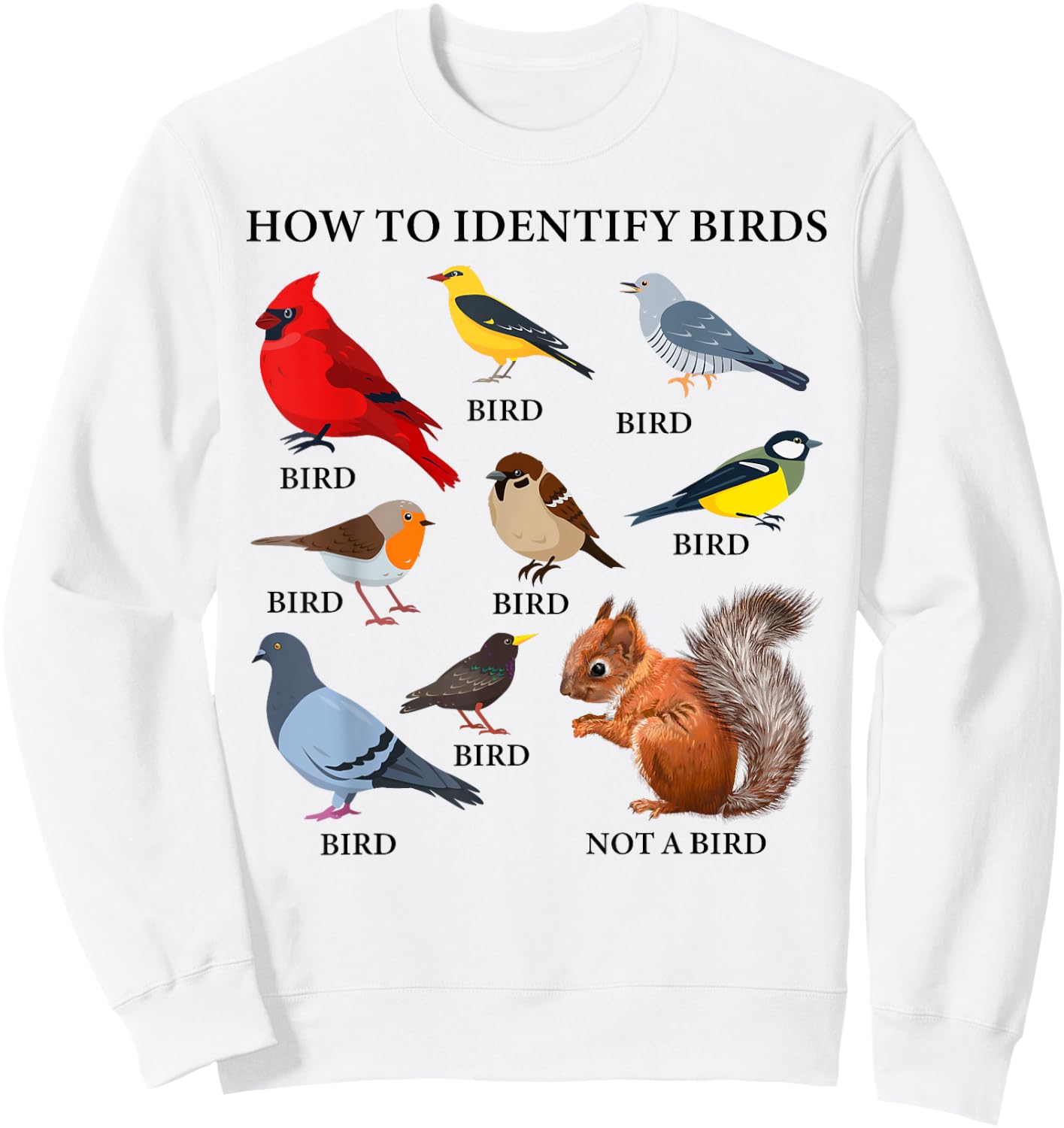 How to Identify Birds Funny Birds Identification Birdwatcher Sweatshirt - Sweatshirt | White