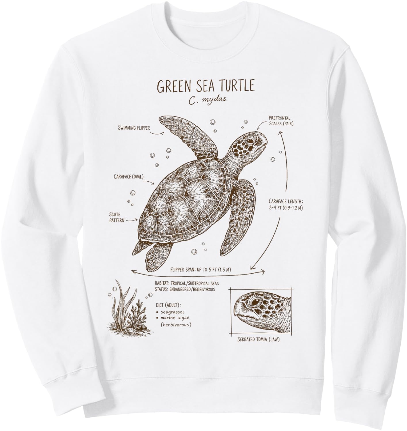 Green Sea Turtle Anatomy Ocean Sea Animal Wildlife Biology Sweatshirt - Sweatshirt | White