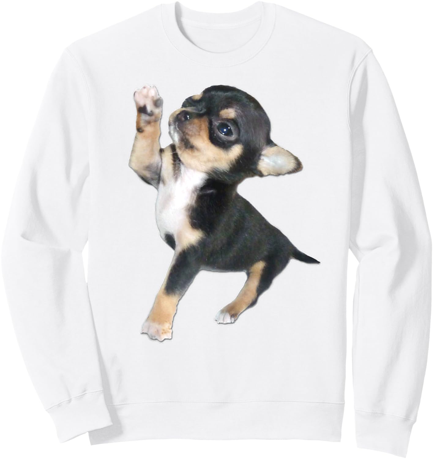 Chihuahua Puppy Sweatshirt - Sweatshirt | White