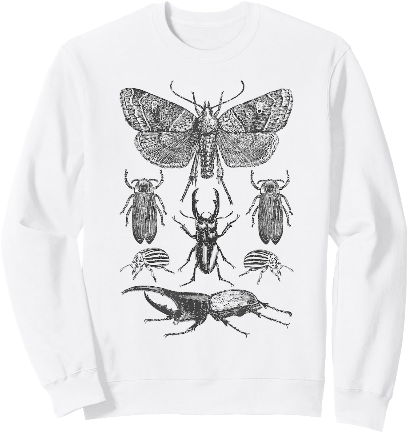 Insect Bug Collection - Moth, Stag Beetle, Cicada Sweatshirt - Sweatshirt | White