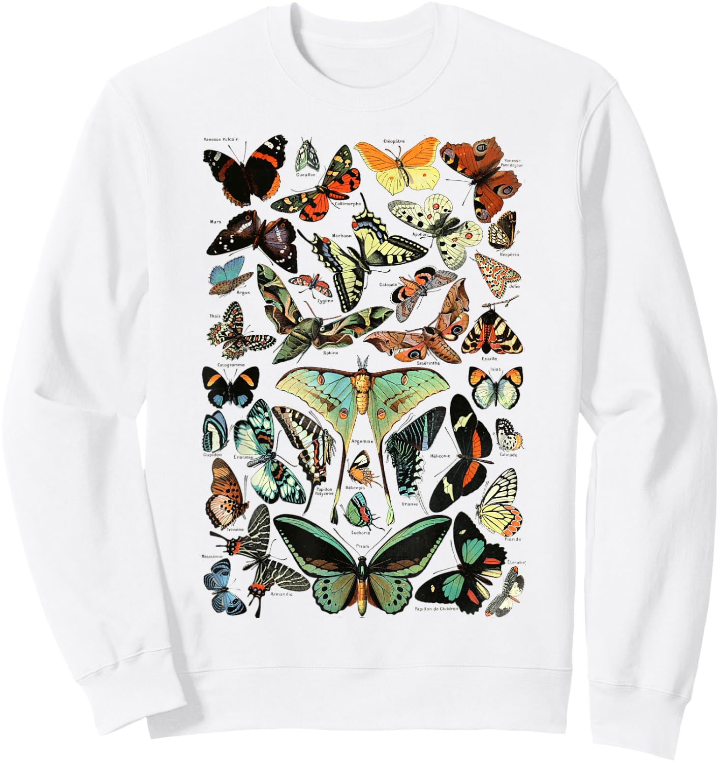 Vintage Butterflies Butterfly Collection entomology Sweatshirt - Sweatshirt | White
