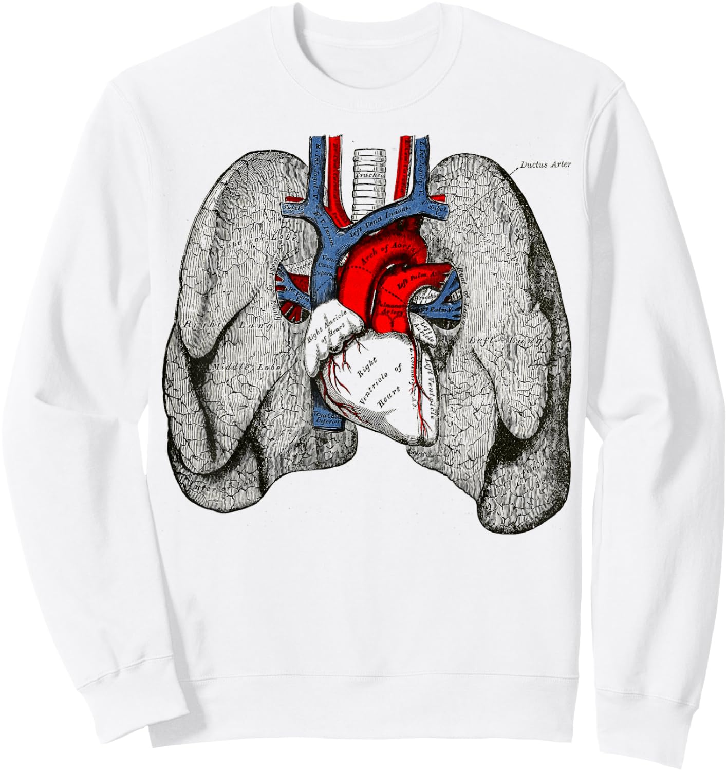 Human Heart Lungs Vintage Medical Anatomy Human Lungs Heart Sweatshirt - Sweatshirt | White