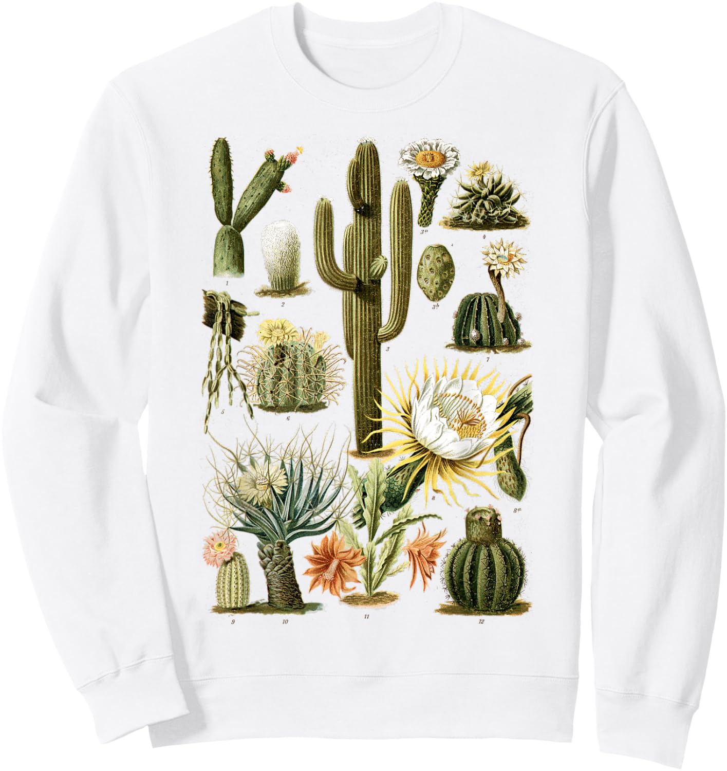 Cactus Succulent Plant Vintage Cacti Botanical Botanical Sweatshirt - Sweatshirt | White