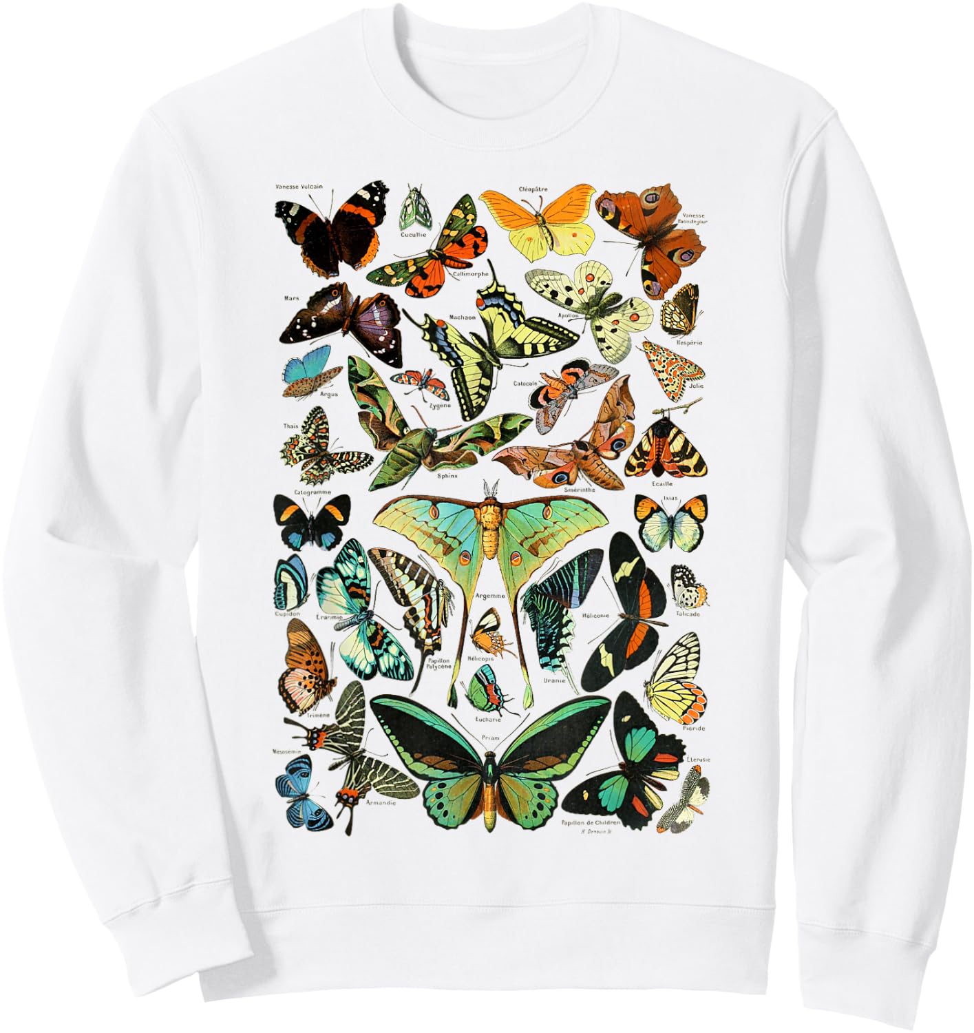 Butterflies Butterfly Collection Scientific Sweatshirt - Sweatshirt | White