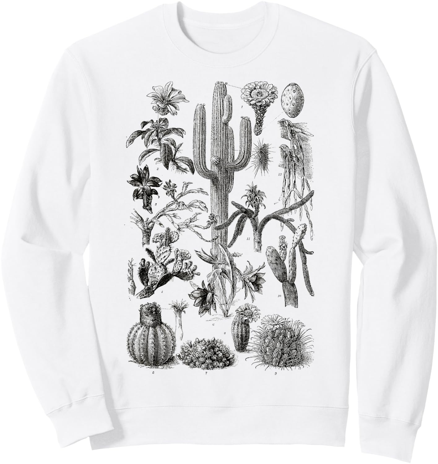 Vintage Cactus Chart Botanical Saguaro Cactus retro Desert Sweatshirt - Sweatshirt | White