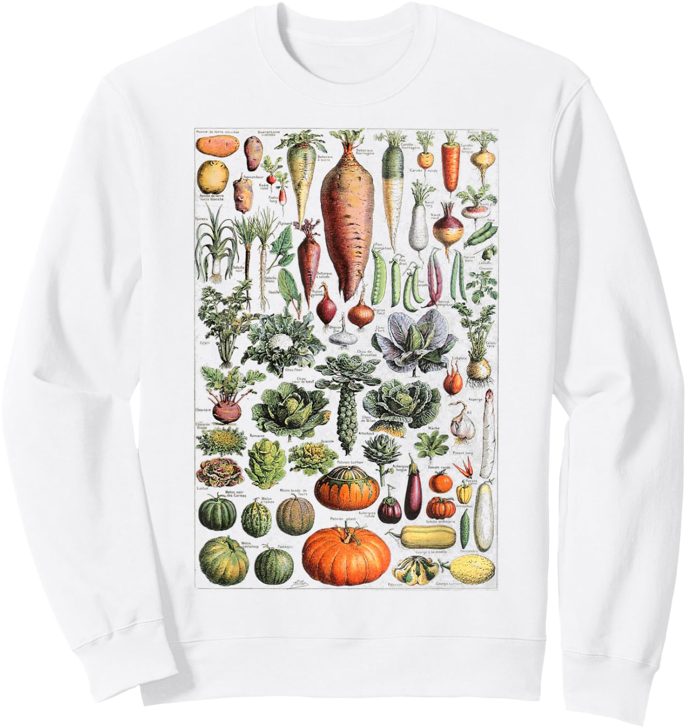 Kitchen Vegetable Identification Reference Table Sweatshirt - Sweatshirt | White