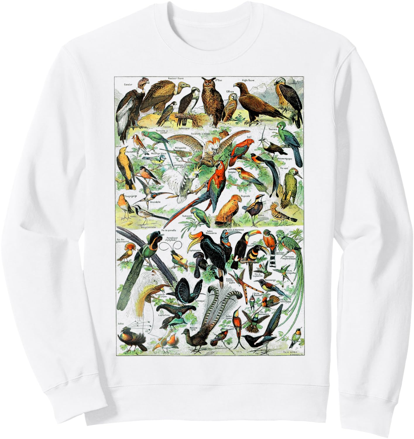 Bird Nature Birding Watcher Ornithology chart Types of birds Sweatshirt - Sweatshirt | White