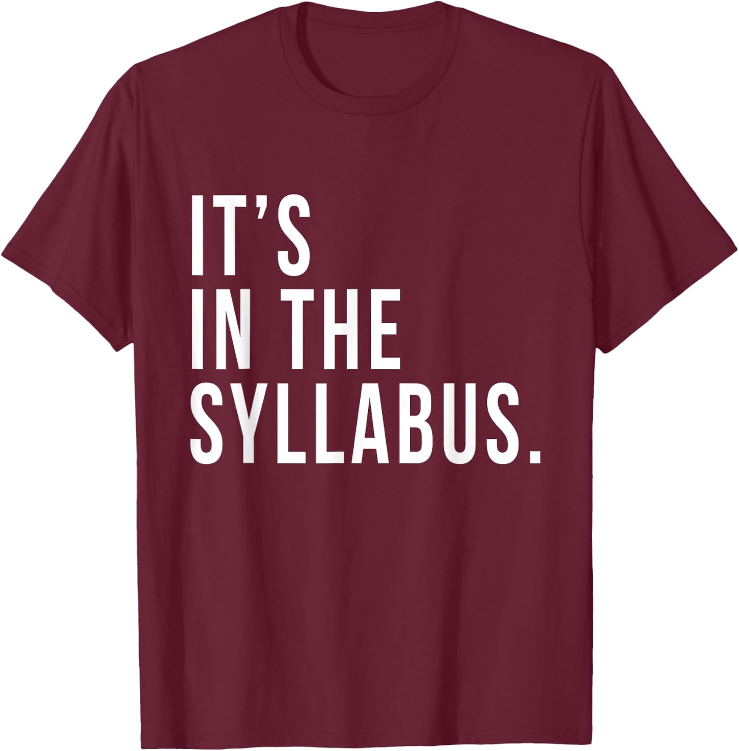 It's In The Syllabus Teacher Professor Funny Sarcasm T-Shirt - T-Shirt | Maroon