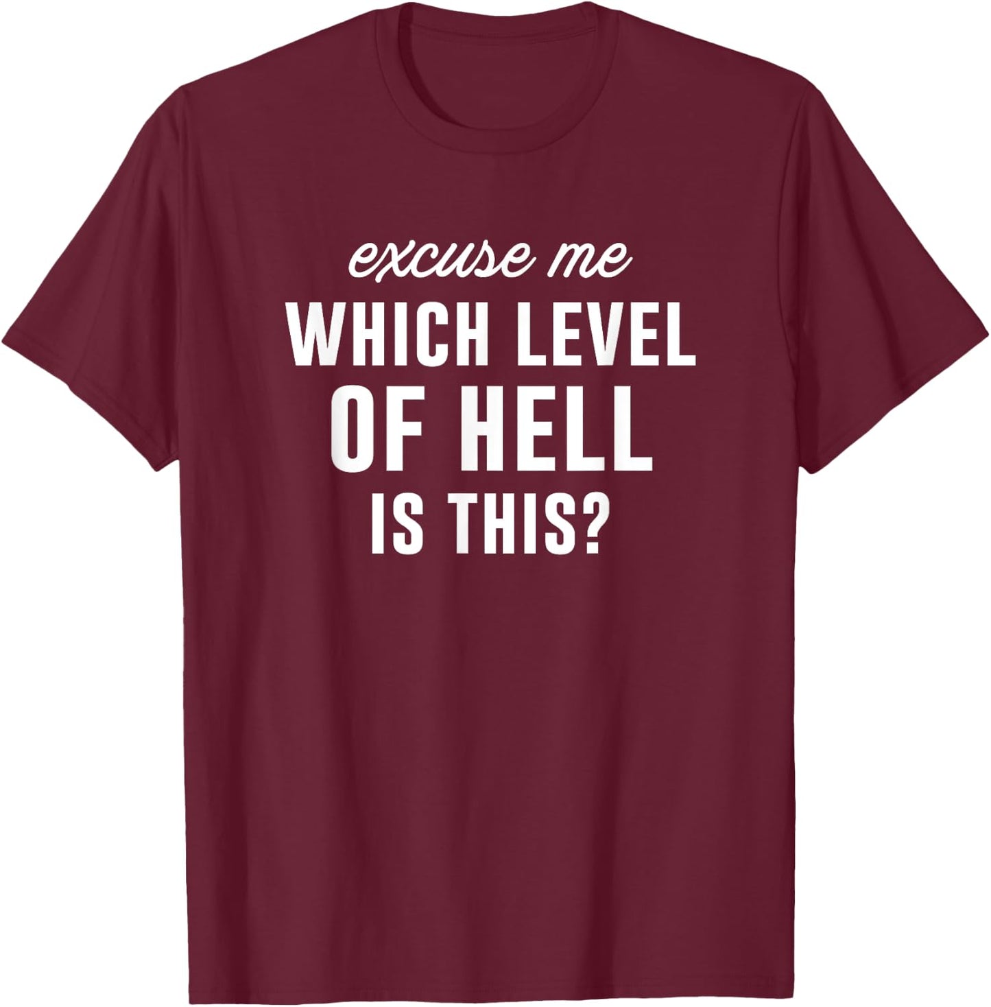 Excuse Me Which Level Of Hell Is This? Sarcastic Graphic T-Shirt - T-Shirt | Maroon