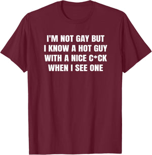 I'm not gay but I know a hot guy with a nice when I see one T-Shirt - T-Shirt | Maroon